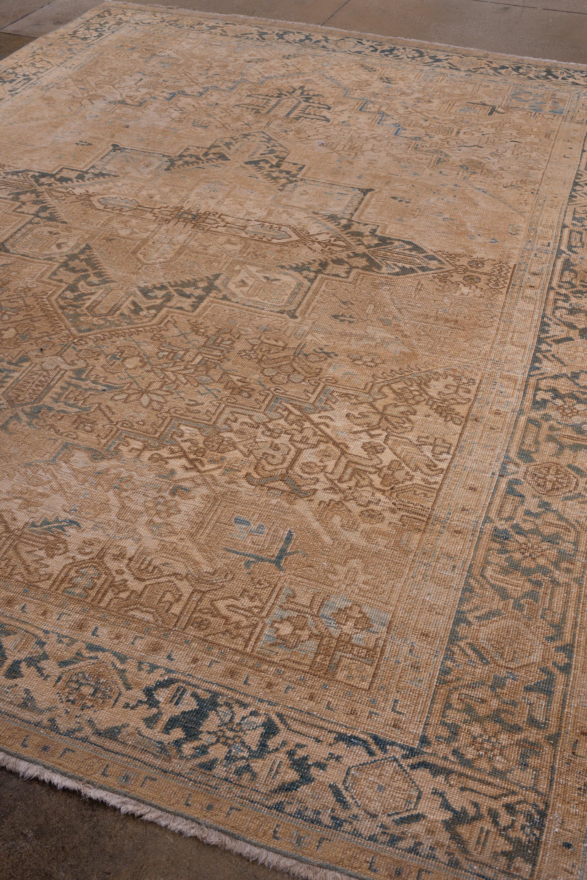 Persian Soft Toned Antique Heriz Rug  For Sale