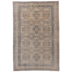 Soft Toned Kaisary Carpet