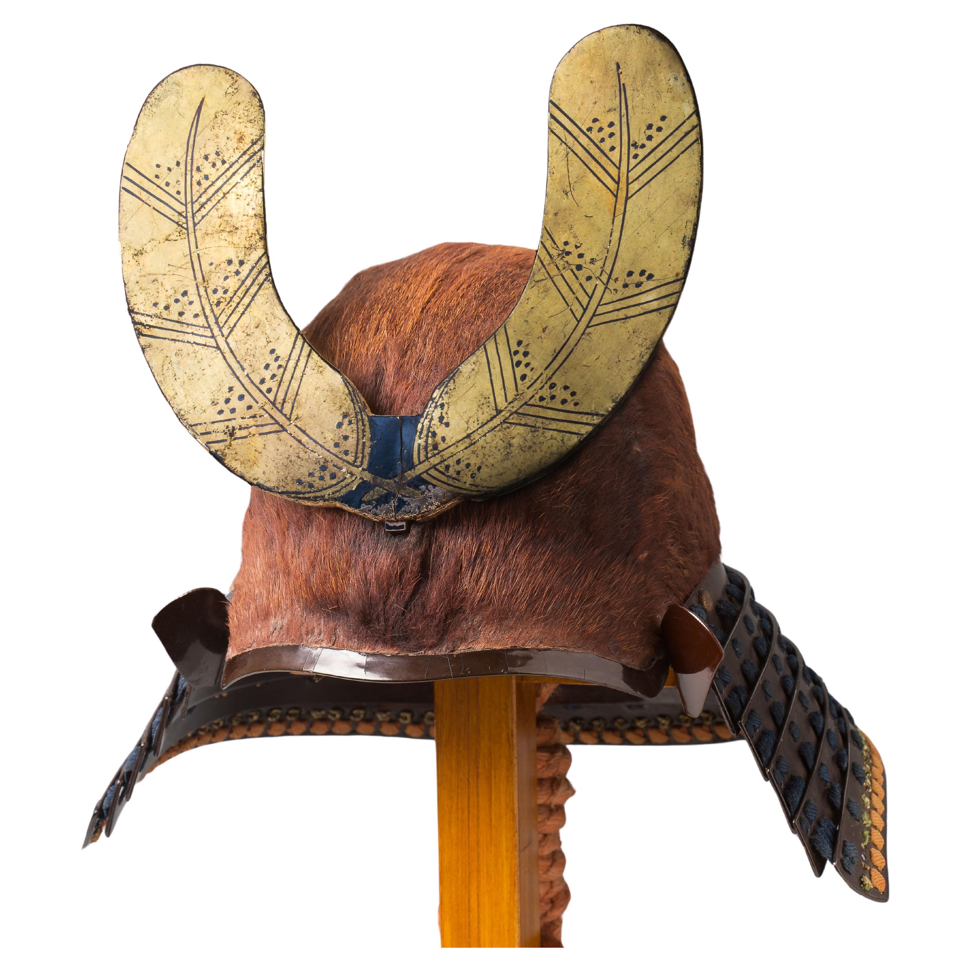 Sogonari Kabuto Samurai Helm in Form eines menschlichen Kopfes, frühe Edo-Periode im Angebot