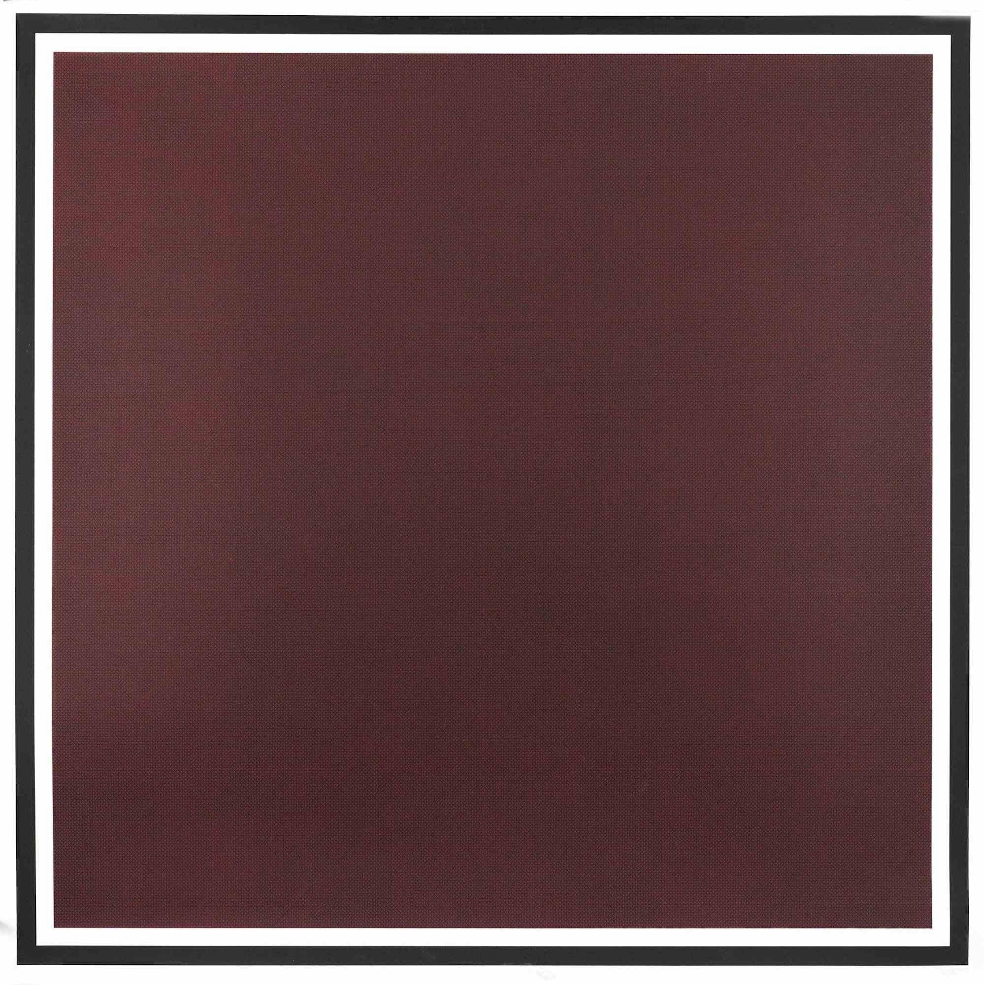 Sol LeWitt Abstract Print - Colors with Lines in Four Directions, Within a Black Border (Red) - 1990