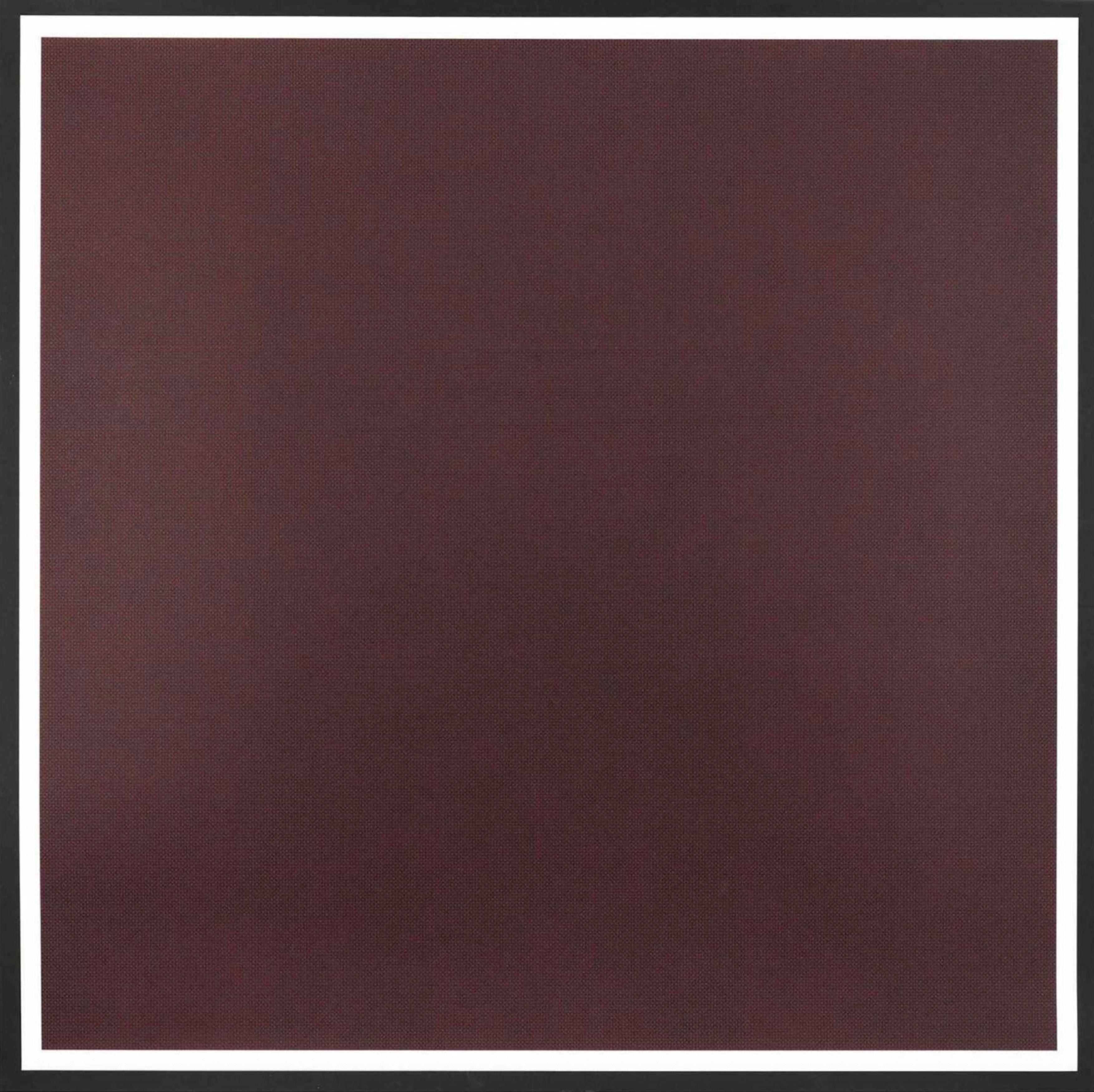 Colors with Lines in Four Directions, Within a Black Border (Red) - Print by Sol LeWitt