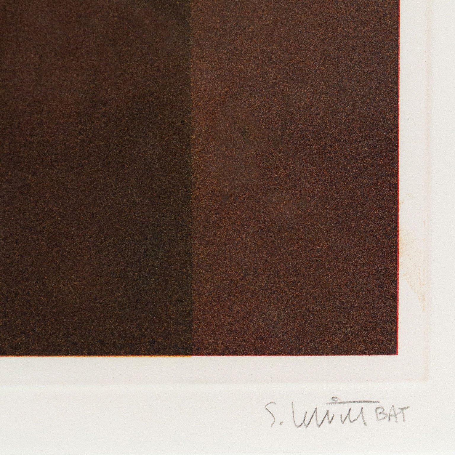Sol LeWitt (1928-2007) is an important contributor to the 20th century's most cerebral 