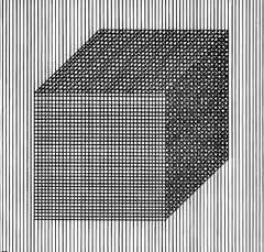 LeWitt, Composizione, Ficciones (dopo)