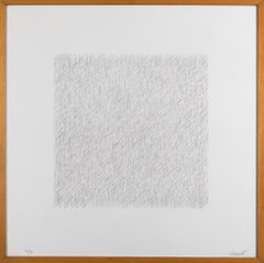 Lines of 1 Inch in 4 Directions and All Combinations, Plate #06 - 1971