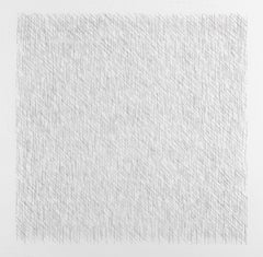 Lines of 1 Inch in 4 Directions and All Combinations, Plate #07 - 1971 