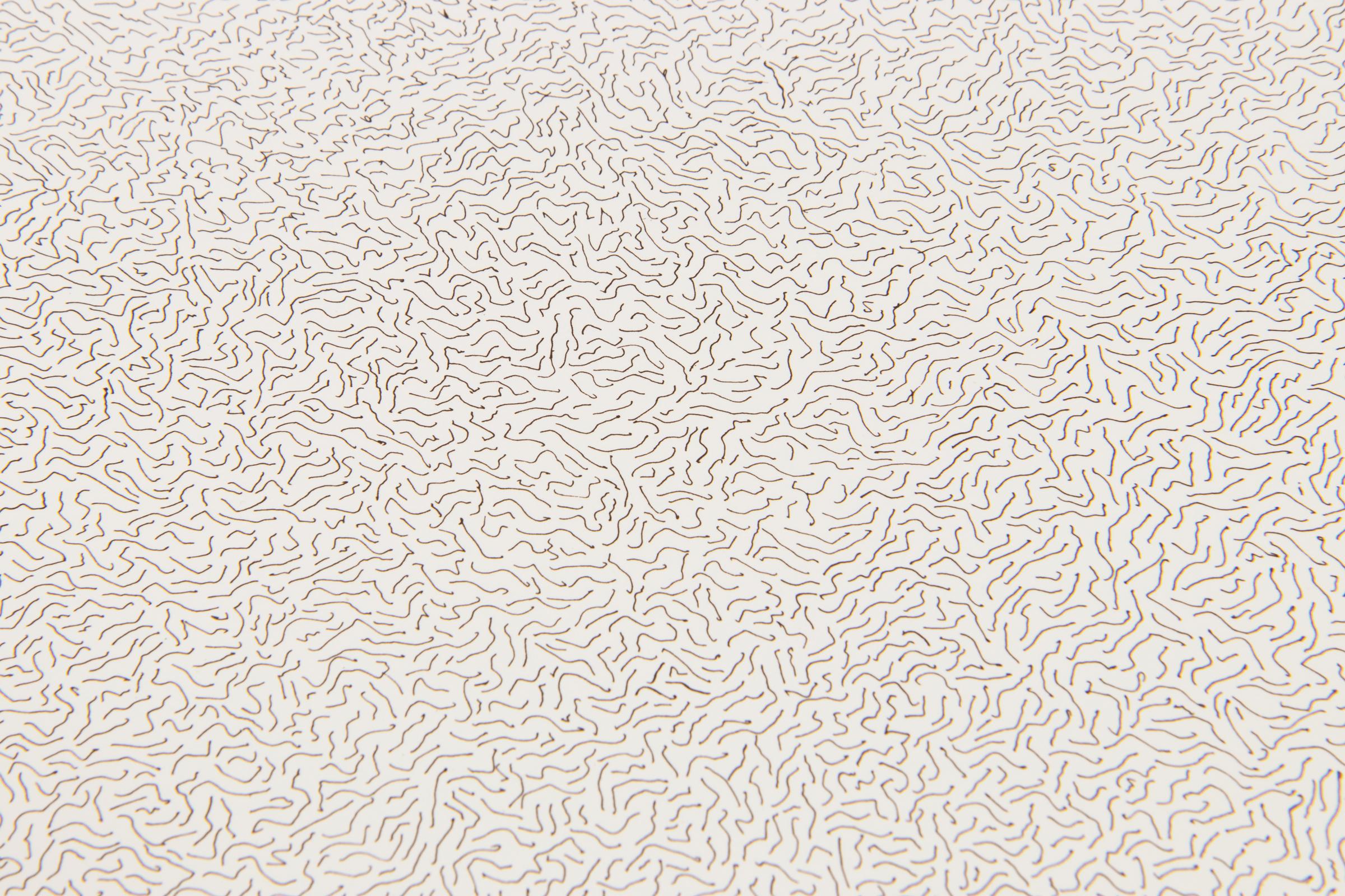 Sol LeWitt, Líneas, no largas, no pesadas, no se tocan, dibujadas al azar (Círculo) 2