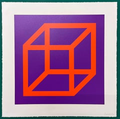 Sol Lewitt, "Open Cube in Color on Color, 24.Orange on Purple", 2003