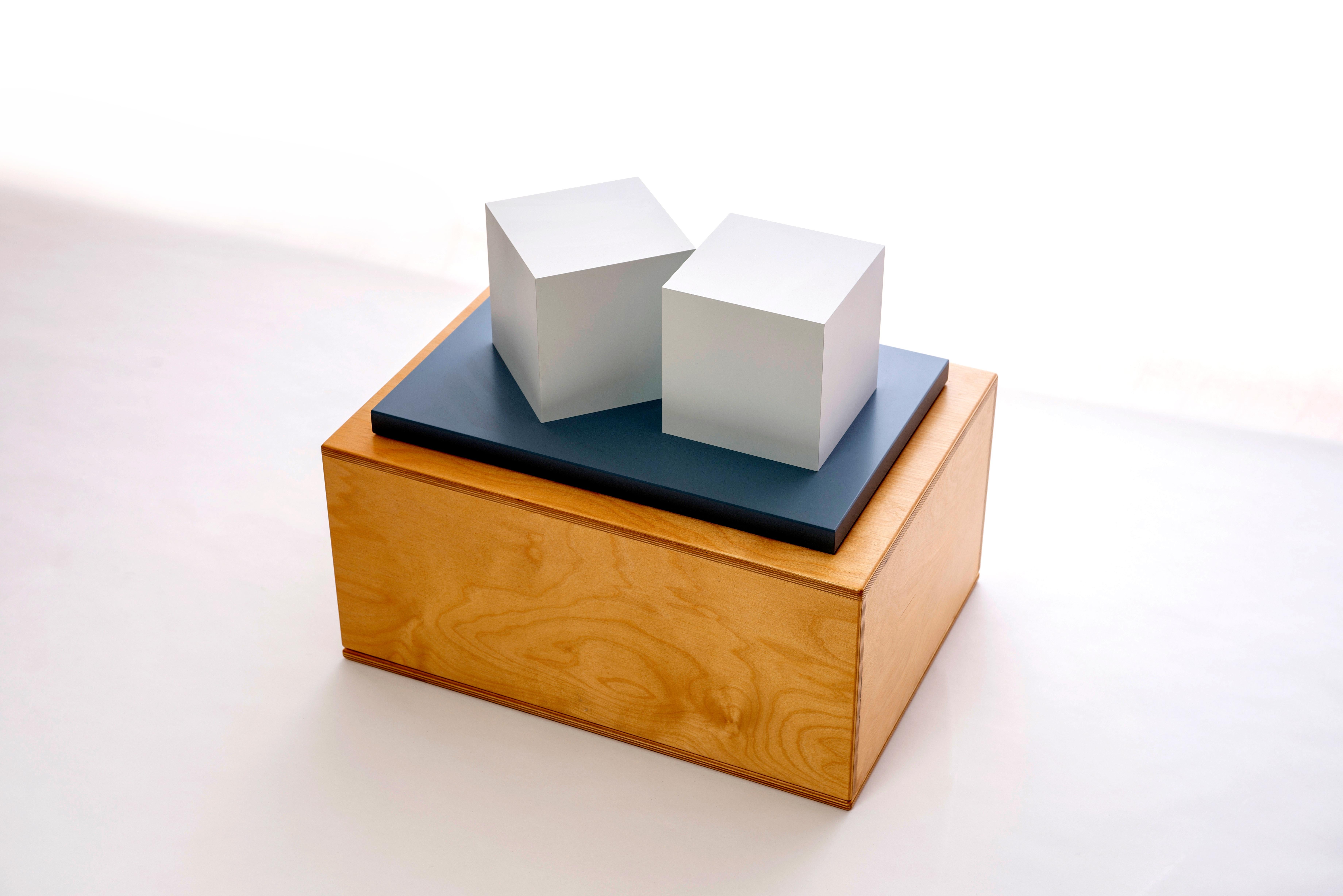 Zwei Würfel – Sculpture von Sol LeWitt