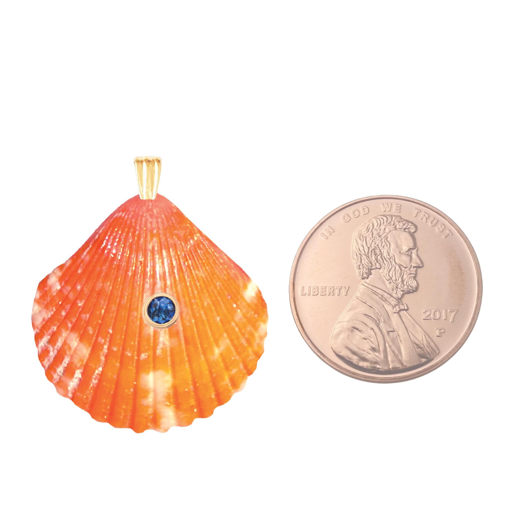 Sol Natural Shell Pendant with 14k Gold and Natural Blue Sapphire Gemstone In New Condition For Sale In Miami, FL