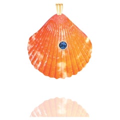 Sol Natural Shell Pendant with 14k Gold and Natural Blue Sapphire Gemstone