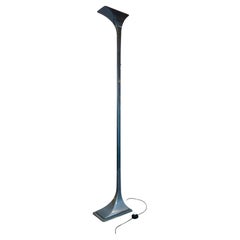 Solaris, Floor Lamp by Luciano Cesaro for Tre Ci Luce, Italy, 1970/80s