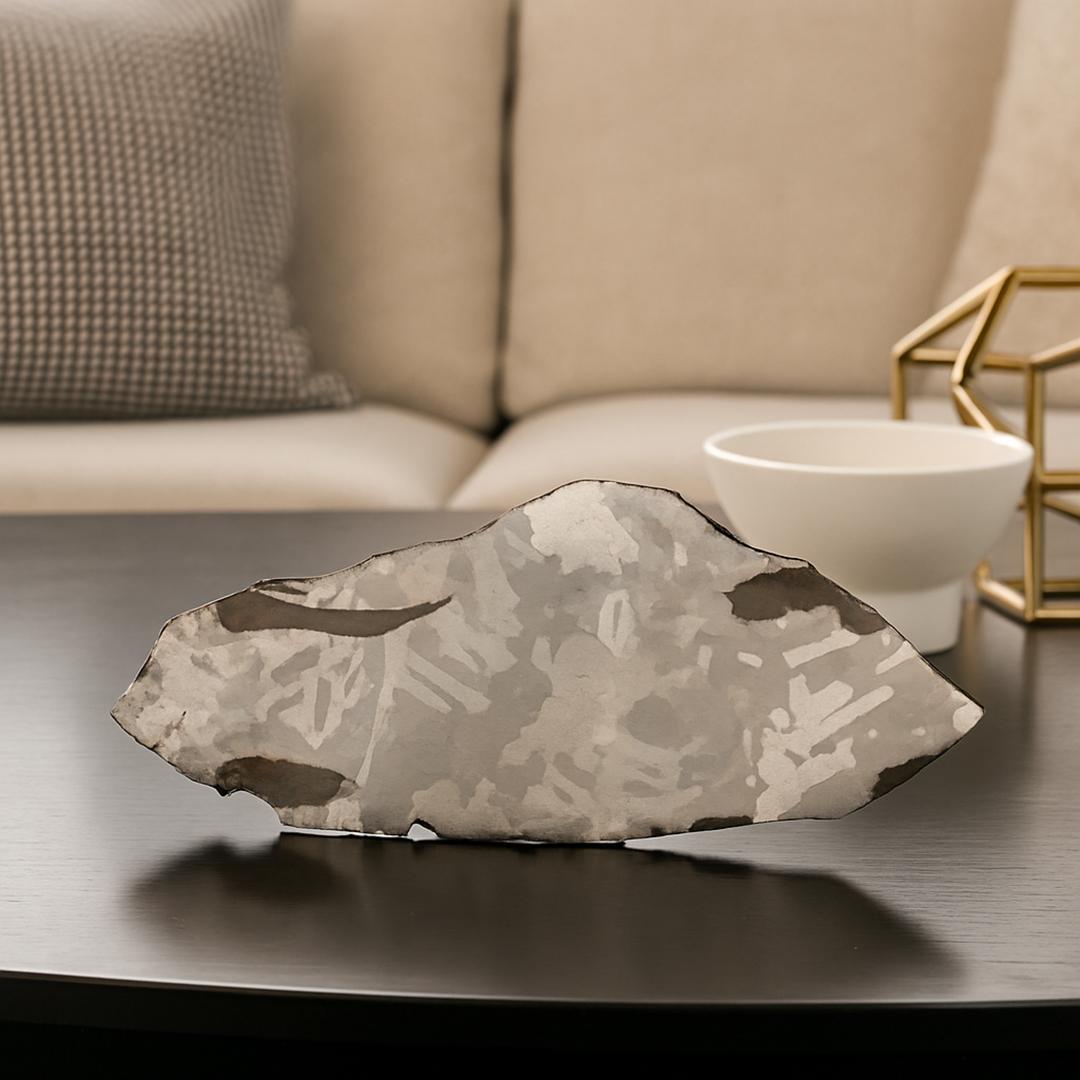 Other Soledade Meteorite Slice For Sale