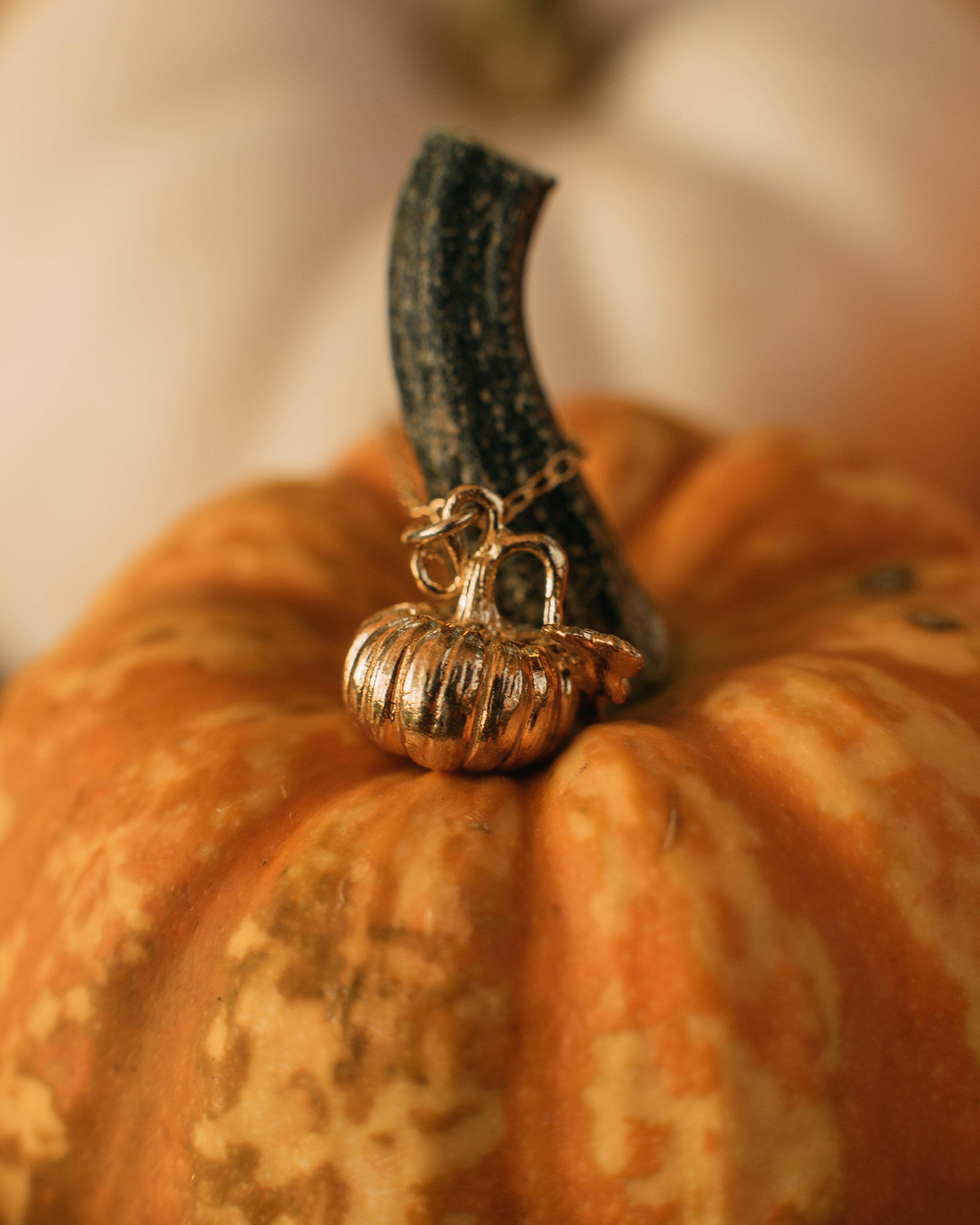 This dainty little pumpkin pendant is cast in solid 18 Carat gold and finished by hand, and is created from Lucy's original hand-sculpted design. 

This pumpkin pendant is made in London, United Kingdom using recycled or Fairtrade Gold. Metals are