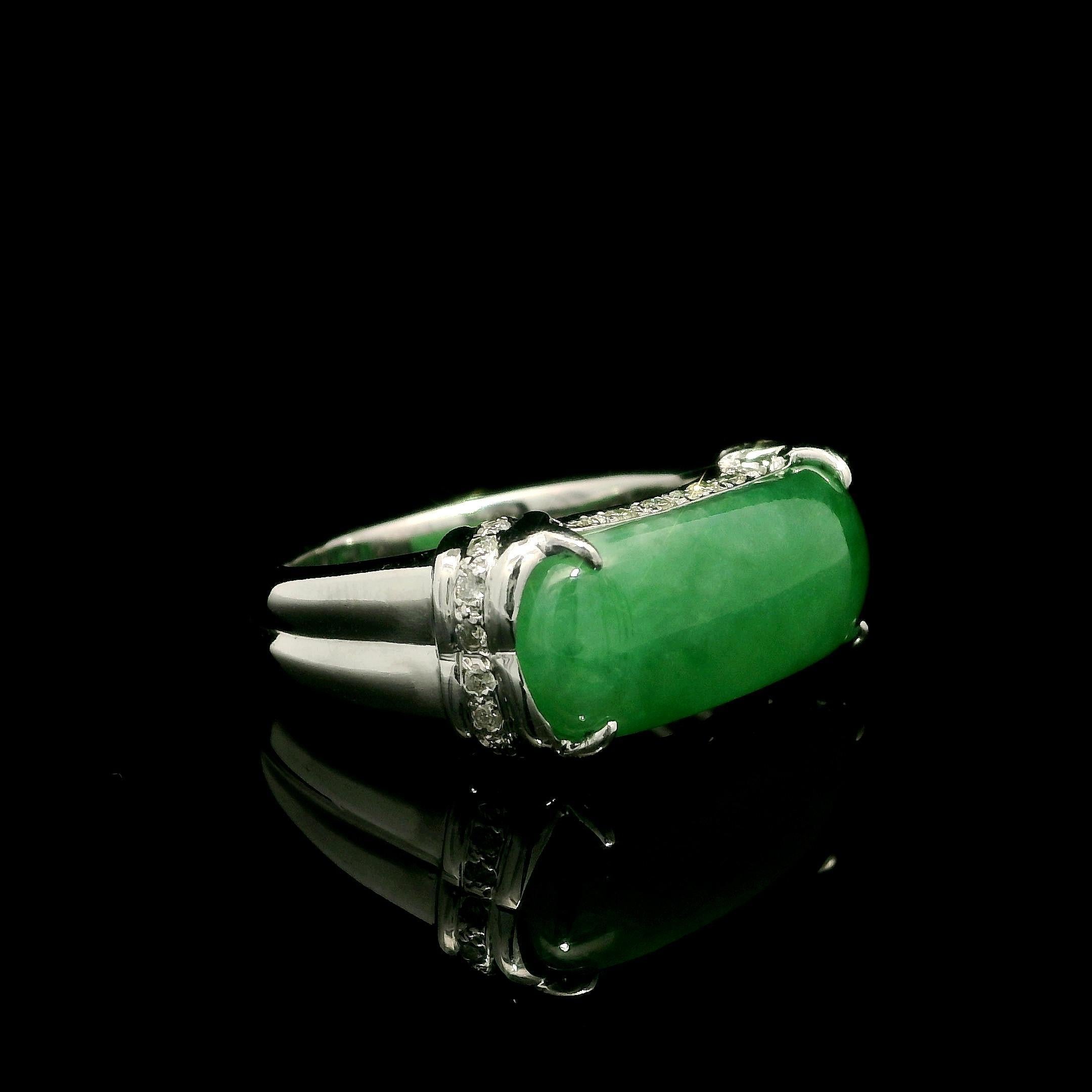 Solid 18k White Gold GIA 7.17ctw Arc Saddle A Jade w/ Diamond Band Ring For Sale 5