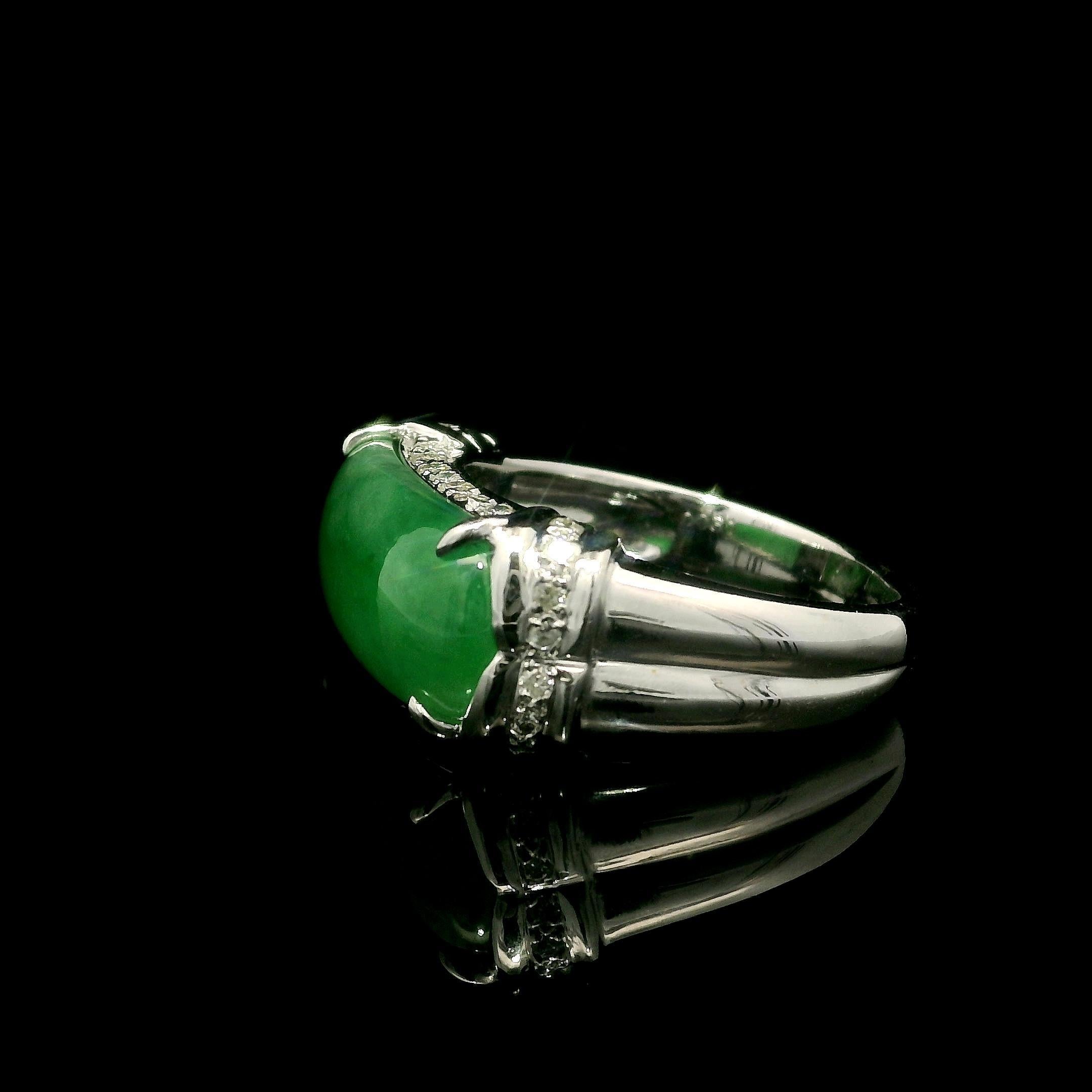 Solid 18k White Gold GIA 7.17ctw Arc Saddle A Jade w/ Diamond Band Ring In Excellent Condition For Sale In Montclair, NJ