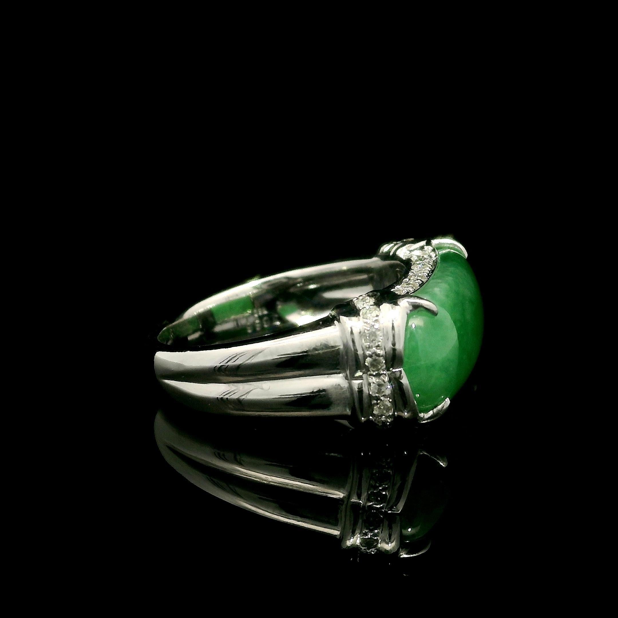 Women's Solid 18k White Gold GIA 7.17ctw Arc Saddle A Jade w/ Diamond Band Ring For Sale
