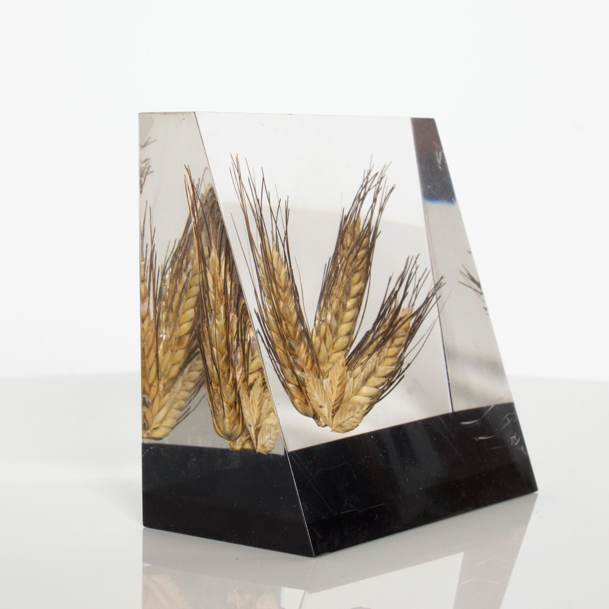 Transparent brilliantly clear single bookend solid block in acrylic with suspended wheat barley on wide black base, circa 1980s
Bookend or decorative accessory. No label present.
(Reminiscent of Shiro Kuramata and his acclaimed Miss Blanche Chair