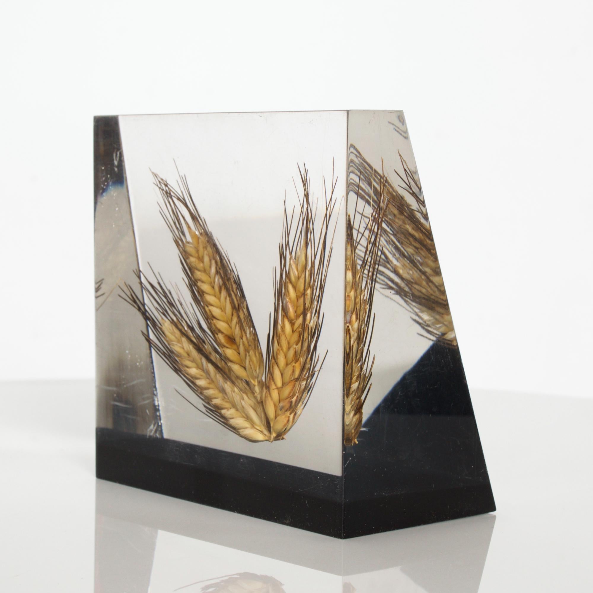 Solid Acrylic Bookend Block Suspended Wheat Barley 1980s Shiro Kuramata Style In Good Condition In Chula Vista, CA