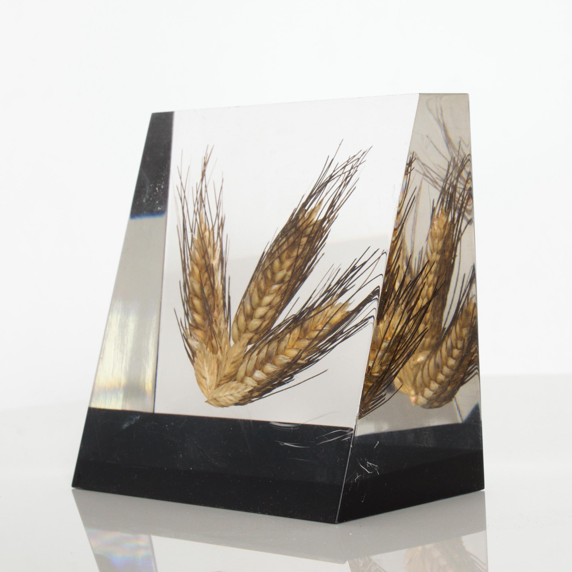 Solid Acrylic Bookend Block Suspended Wheat Barley 1980s Shiro Kuramata Style 2