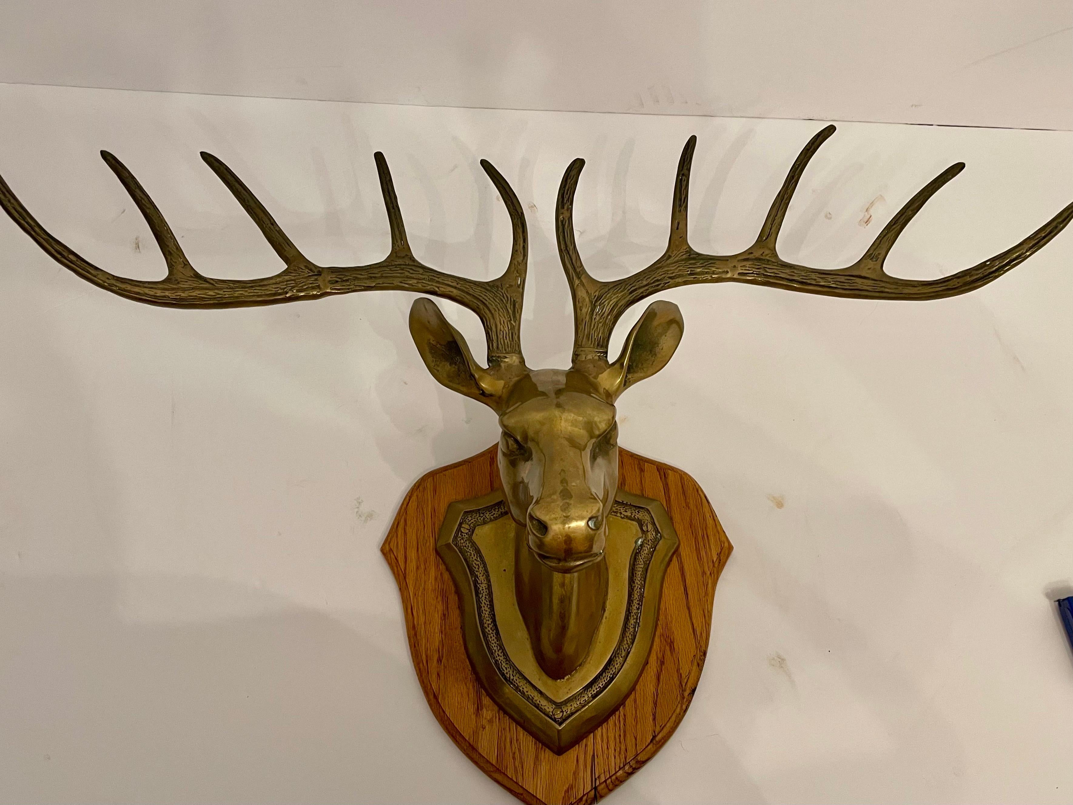 Solid brass 10 point deer head mount. Good detail. Mounted on oak. 32” x 20” x 12” deep.. good condition and original patina.