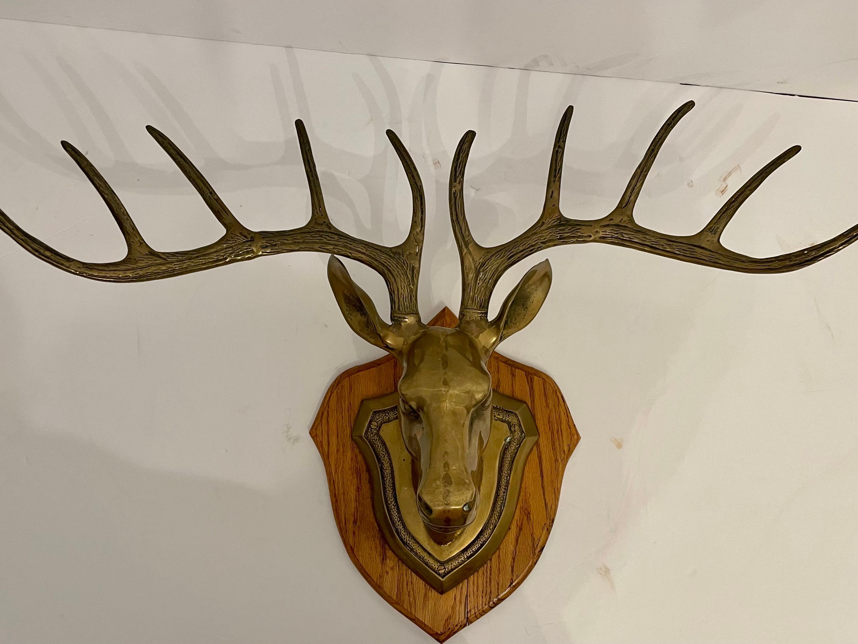 brass taxidermy