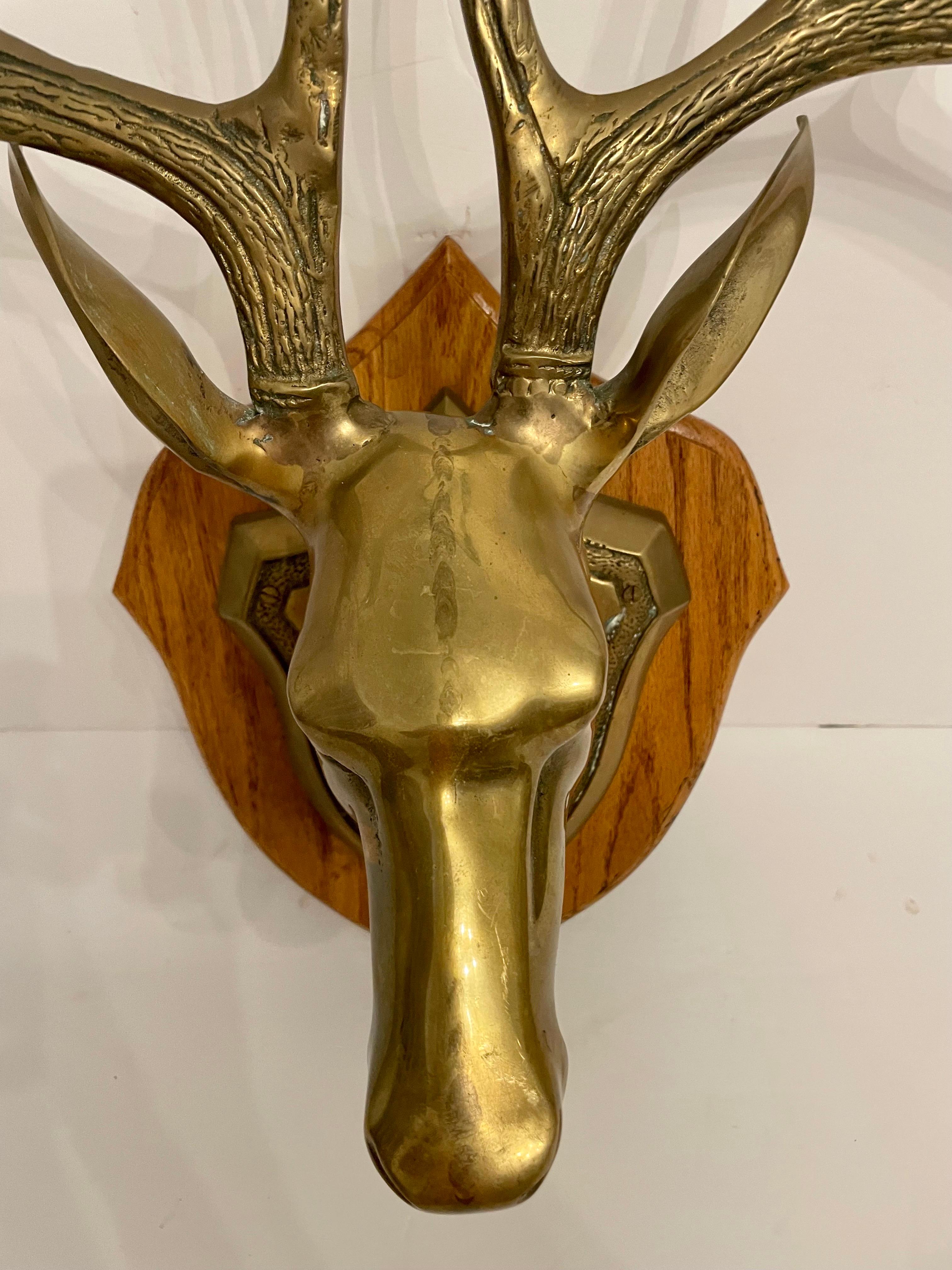 brass taxidermy heads