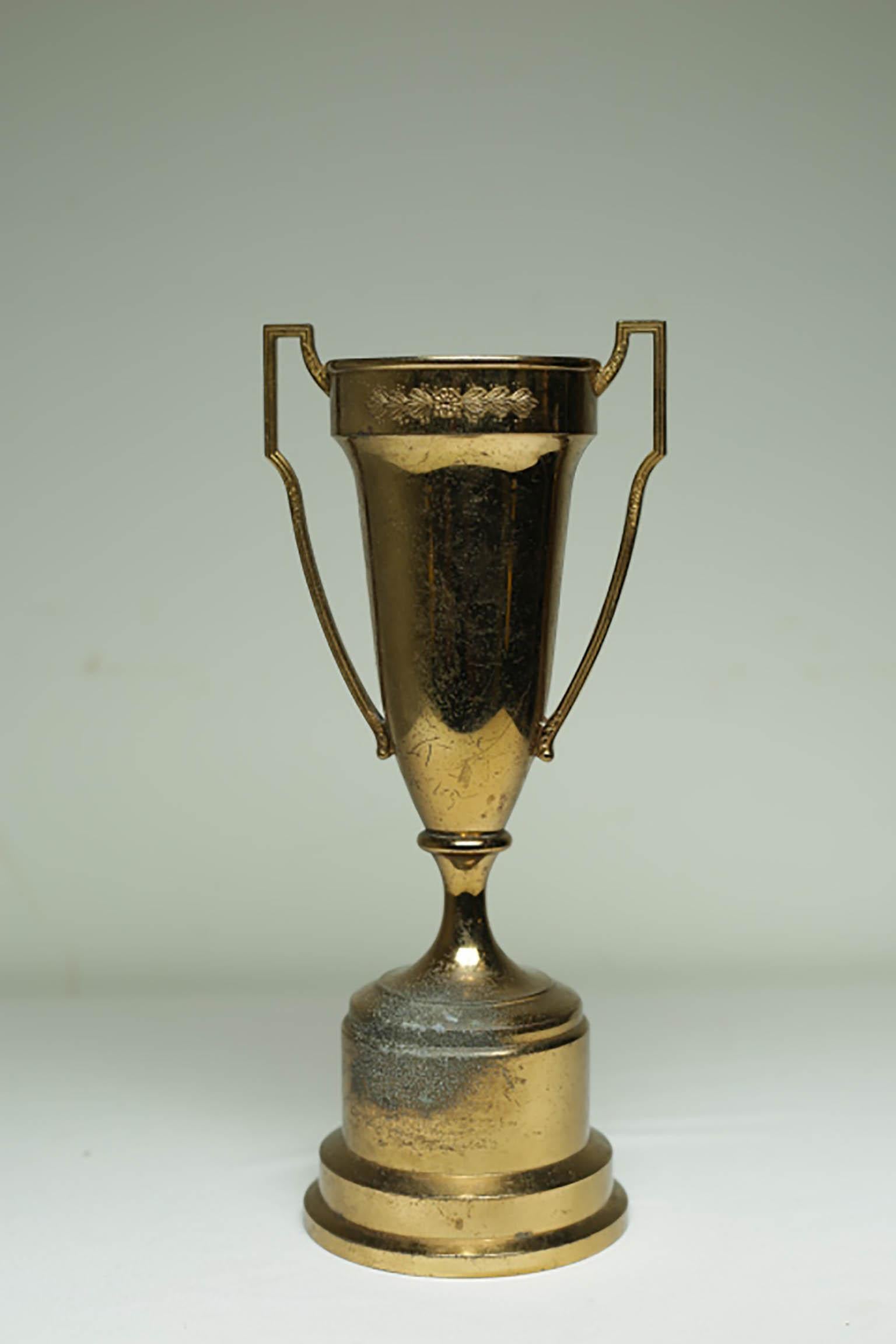 Solid Brass Cup Trophy 