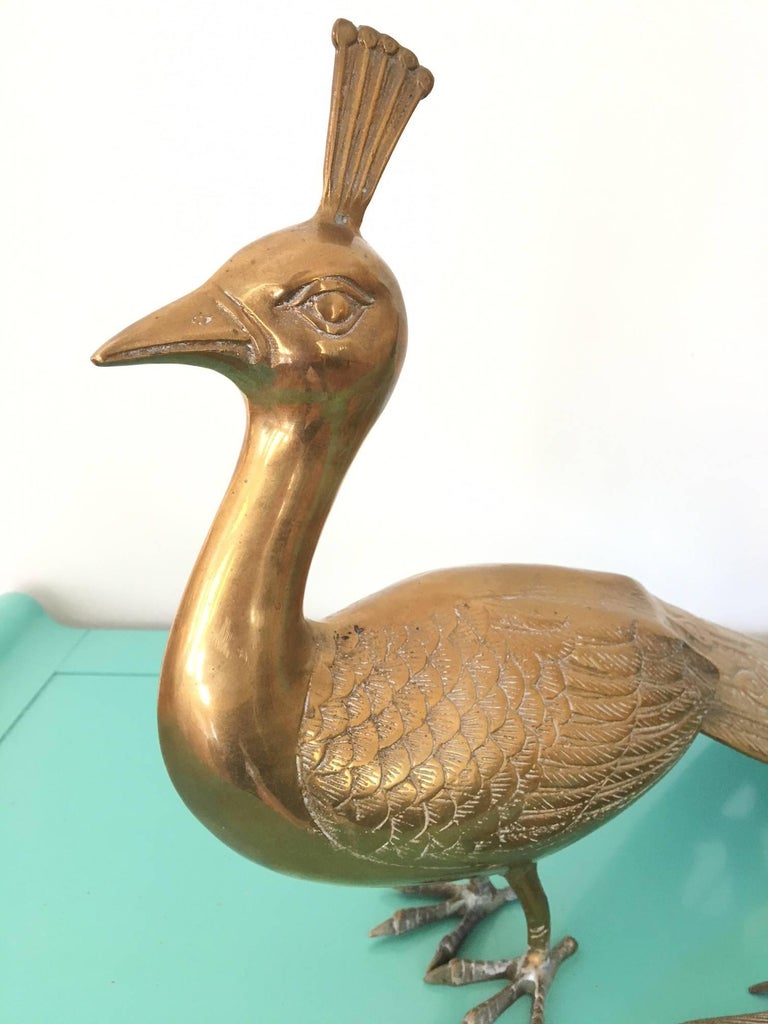 Solid Brass Male and Female Peacock Statues at 1stDibs