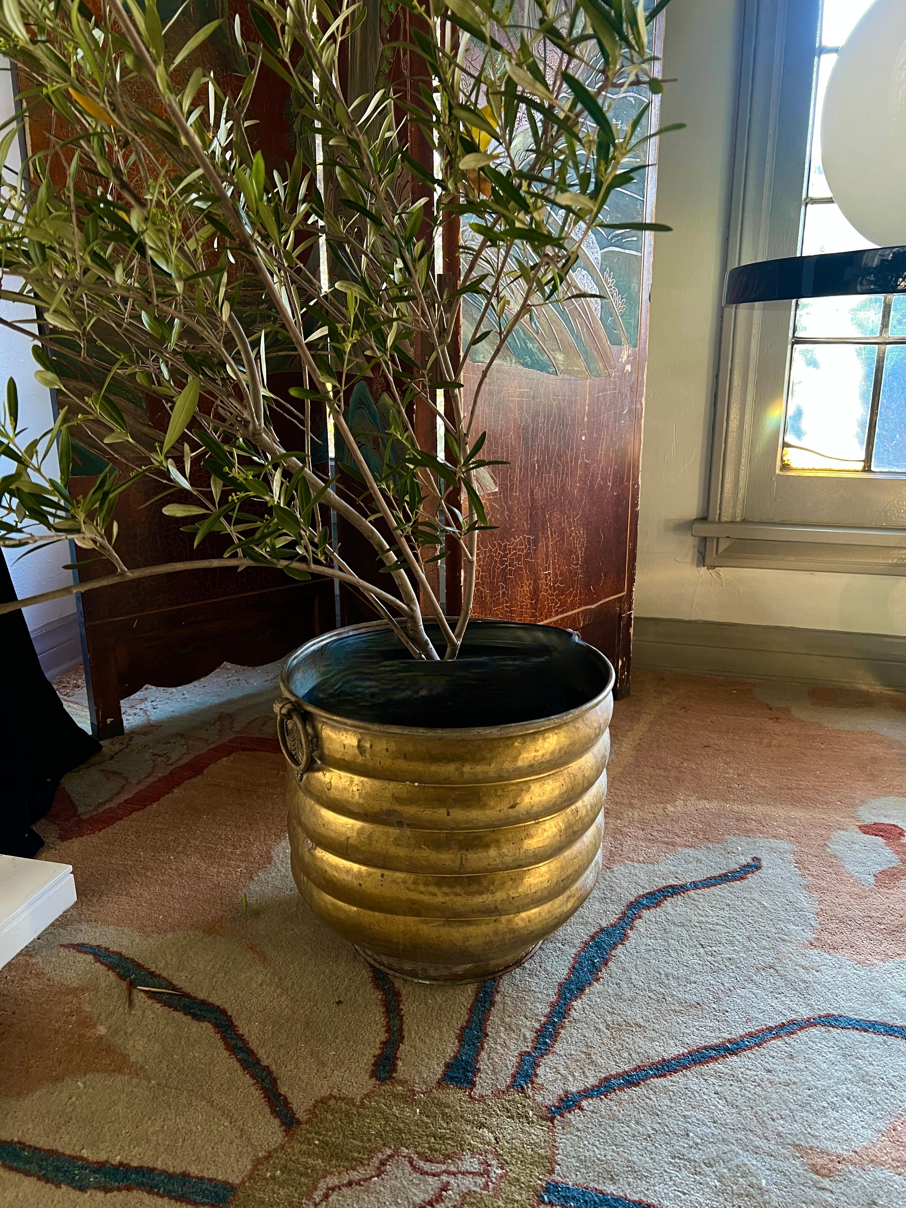 Ein einzigartiges Pflanzgefäß aus massivem Messing oder Jardiniere...  Das Stück hat eine wunderschöne patinierte Messingoberfläche und ist von oben nach unten gerippt.

An jeder Seite sind dekorative Ringgriffe angebracht.

Eine Ergänzung zu vielen