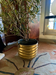 Solid Brass Ribbed Jardiniere Planter with Decorative Ring Handles