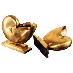 Solid Brass Shells on a Stand, Consolle Decorative Elements or Bookends