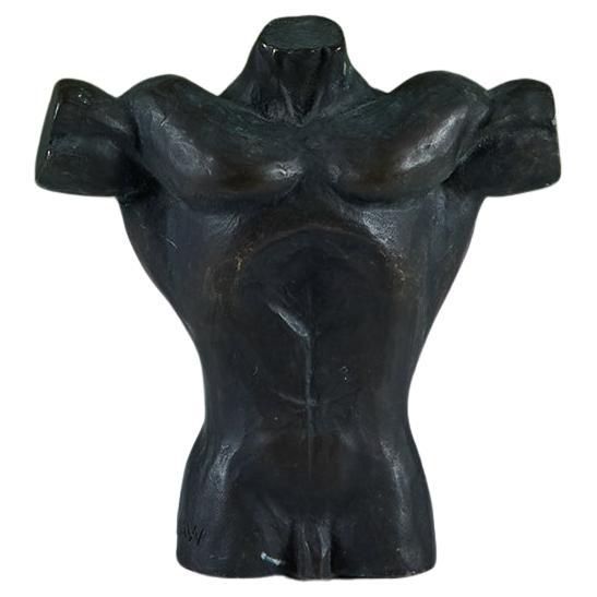 Solid Bronze Male Torso