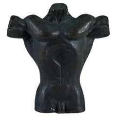 Solid Bronze Male Torso