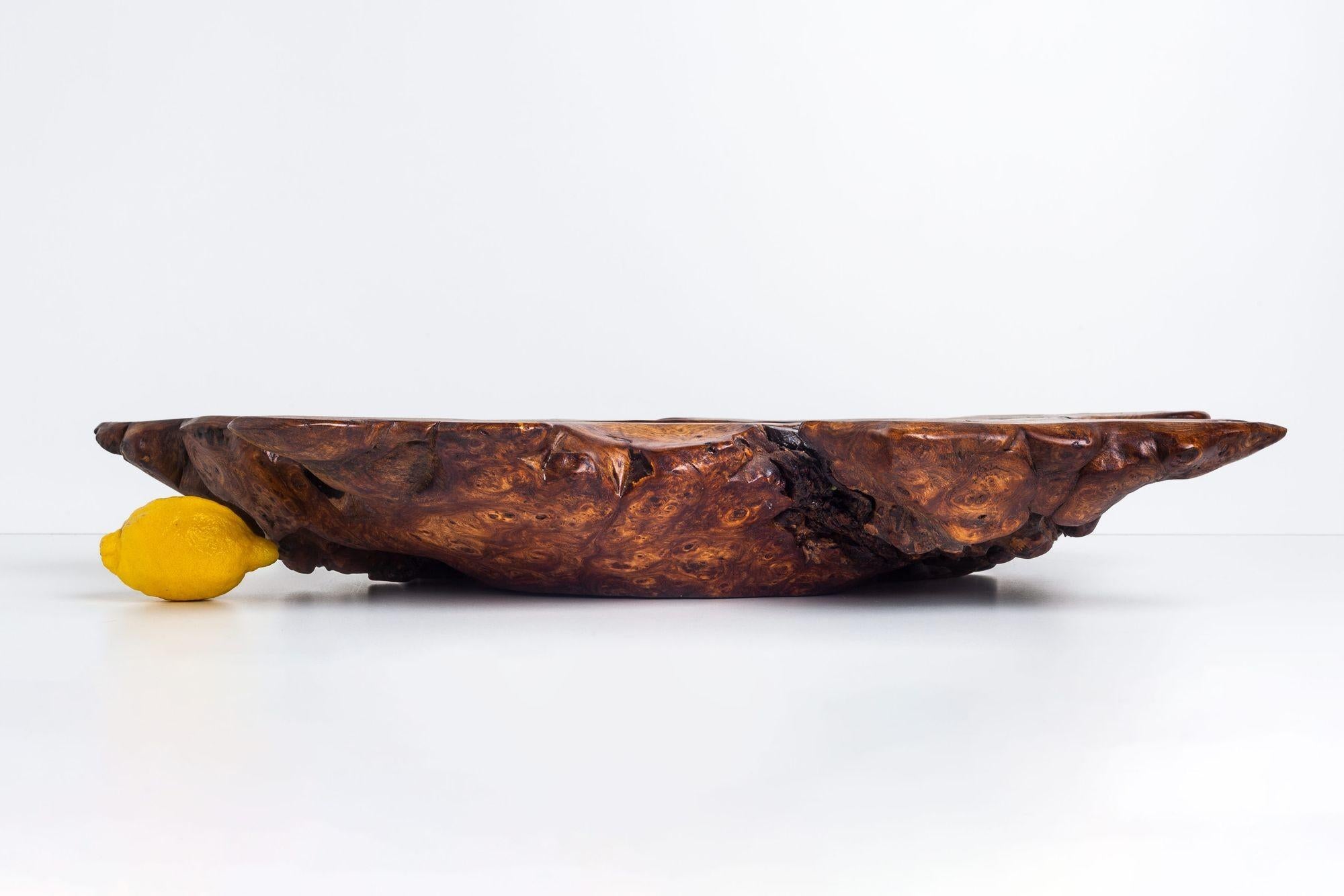 American Solid Burled Elm Root Bowl by Tripp Espenet For Sale