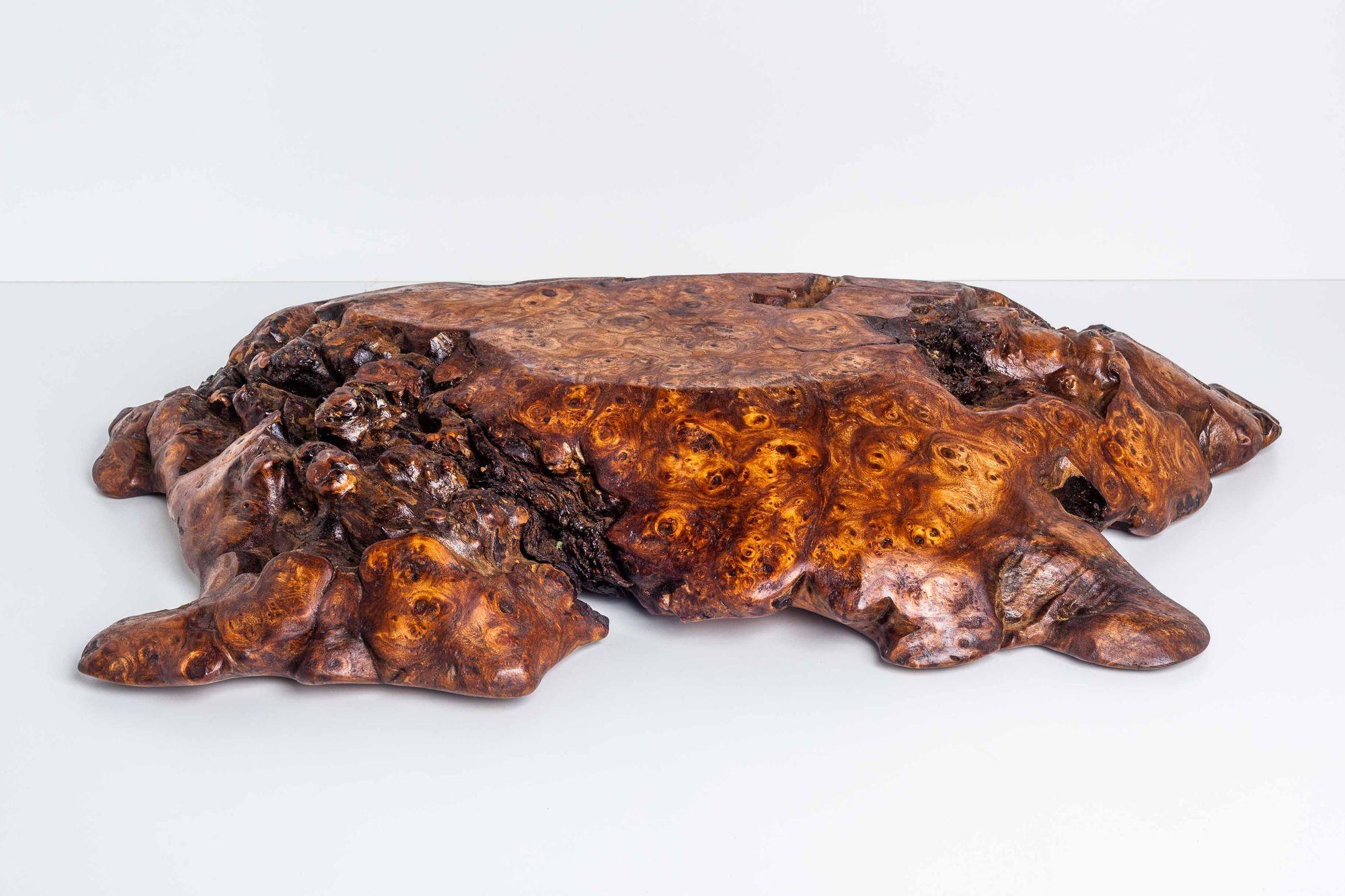Contemporary Solid Burled Elm Root Bowl by Tripp Espenet For Sale