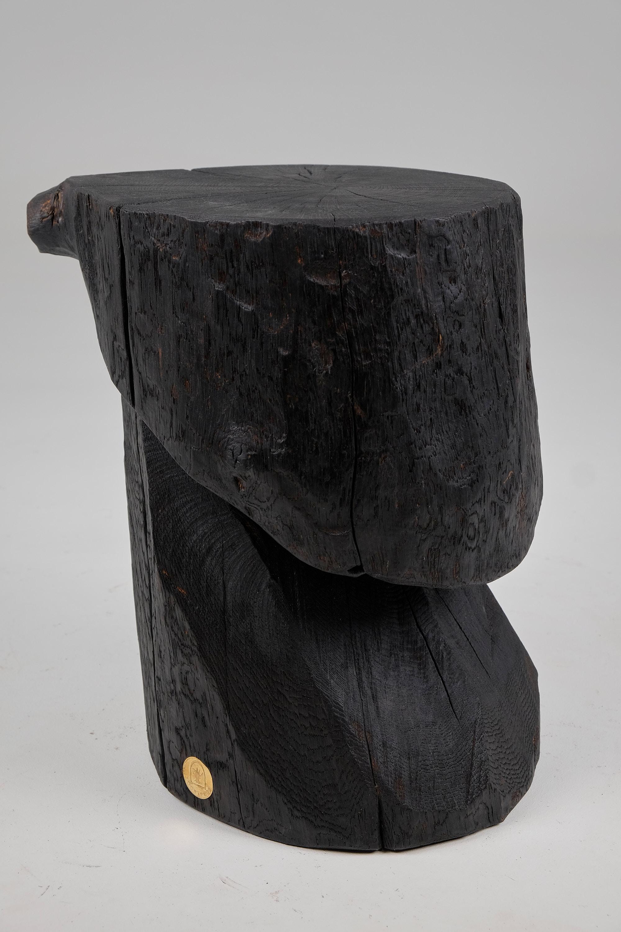 Solid Burnt Wood, Brutalist Sculptural Side Table/Pedestal,  Unique, Jownik In New Condition In Stara Gradiška, HR