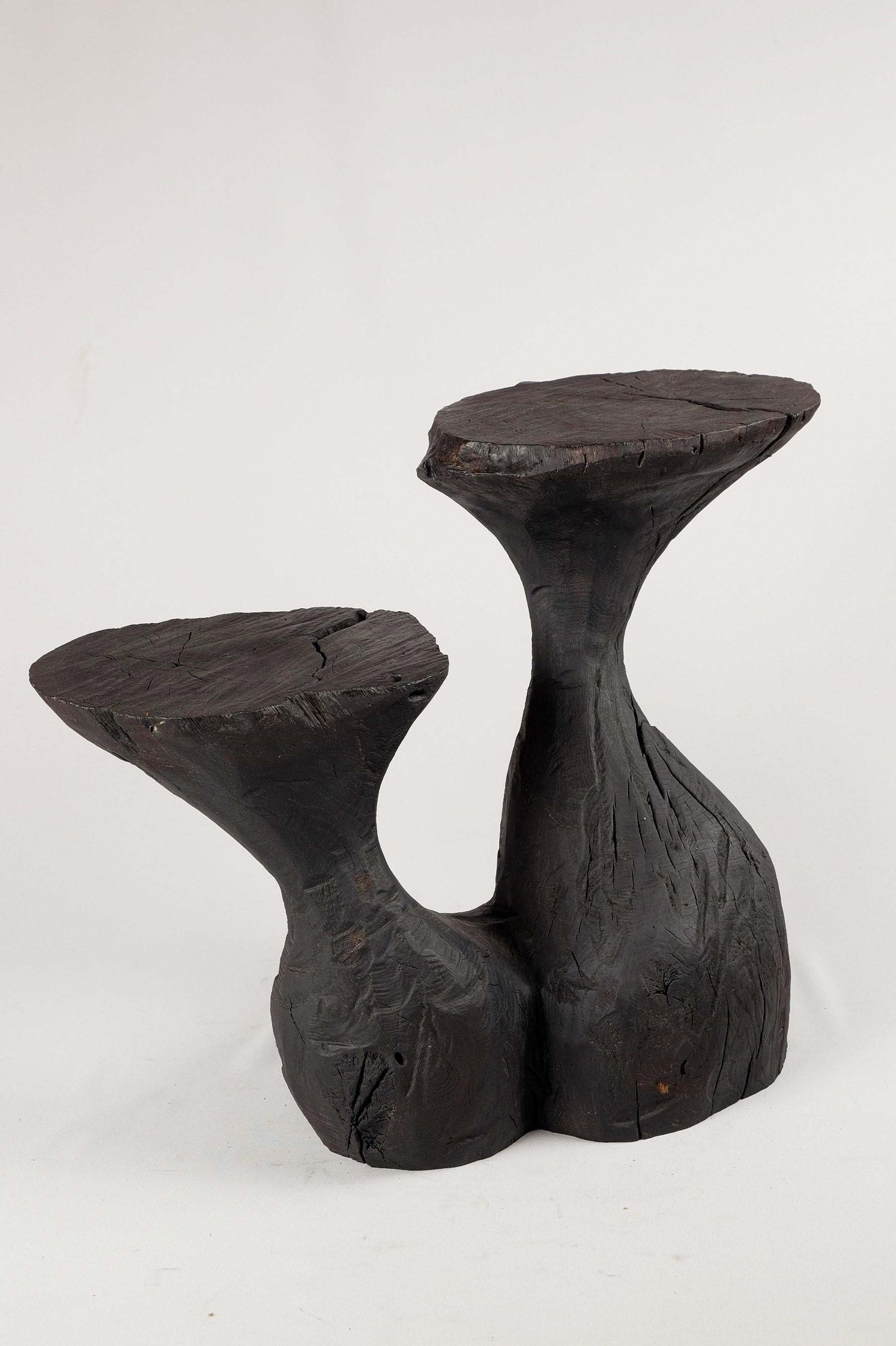 Solid Burnt Wood, Sculptural Side Table, Original Contemporary Design, Logniture 5