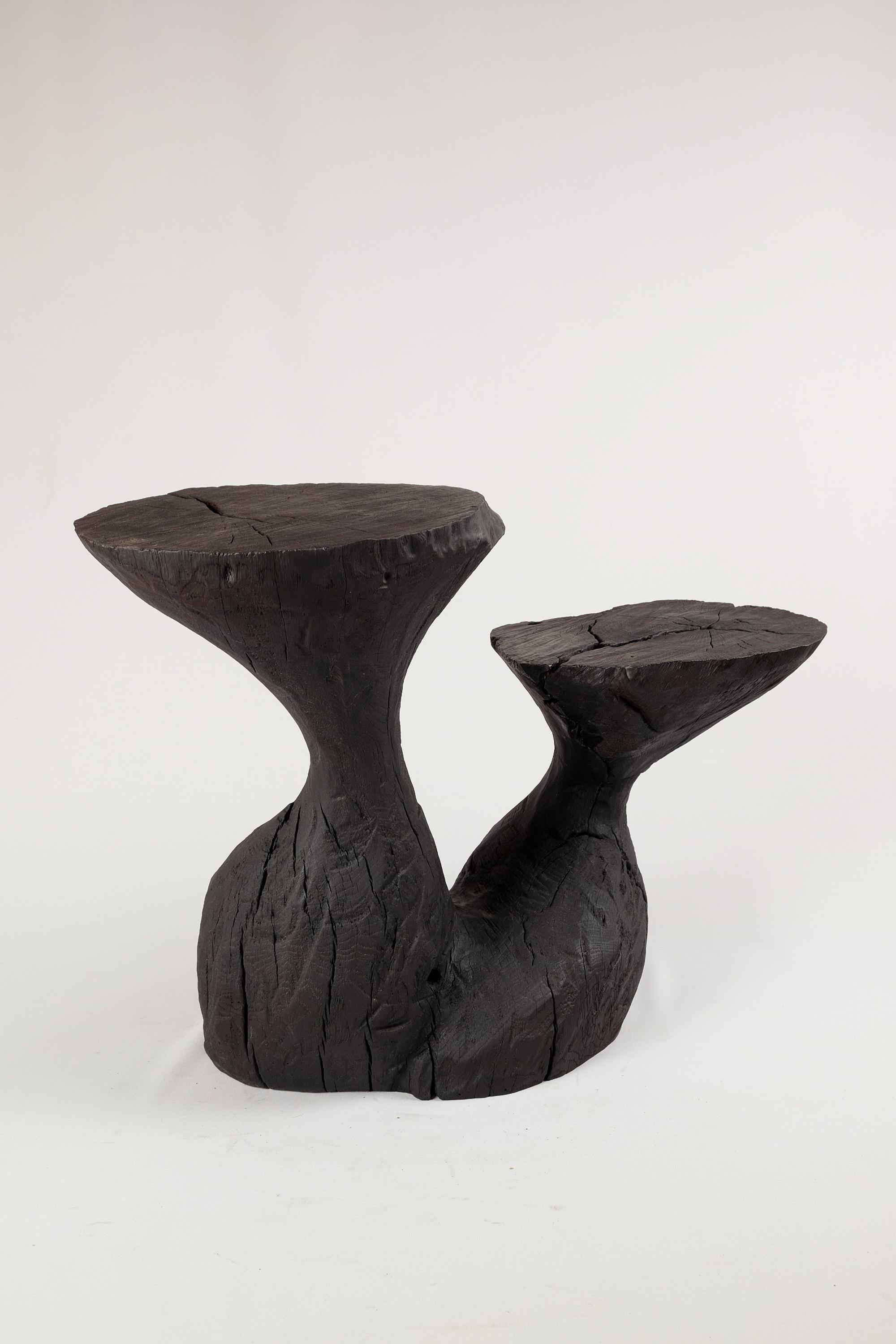 Solid Burnt Wood, Sculptural Side Table, Original Contemporary Design, Logniture 2