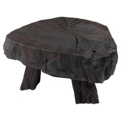 Table tabouret/table d'appoint sculpturale en bois brûlé massif, design original, Logniture