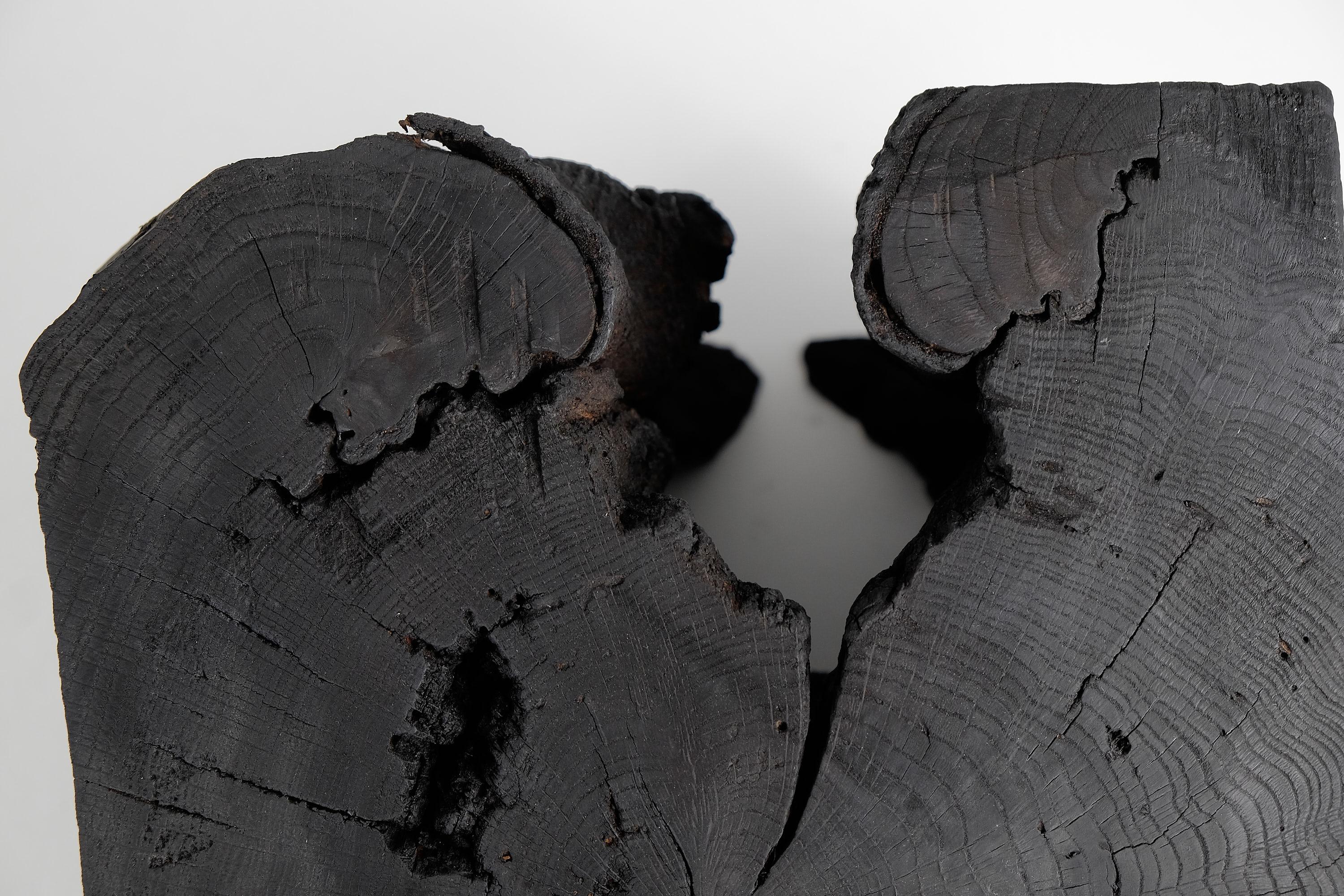 Massives gebranntes Holz, Beistelltisch, Hocker, Original Contemporary Primative Design im Angebot 4