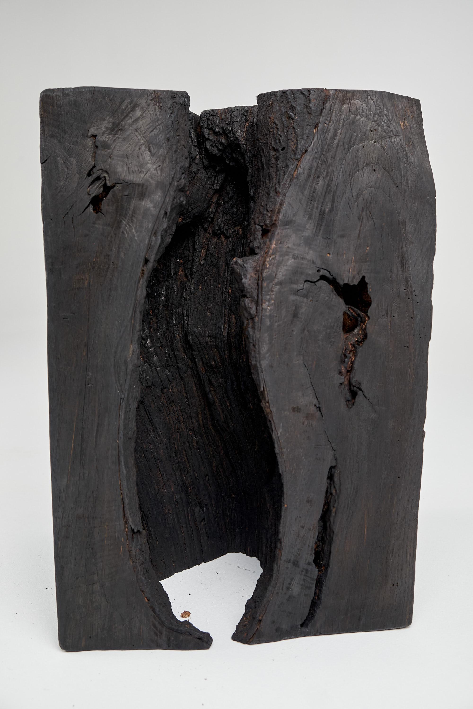 Massives gebranntes Holz, Beistelltisch, Hocker, Original Contemporary Primative Design im Angebot 11