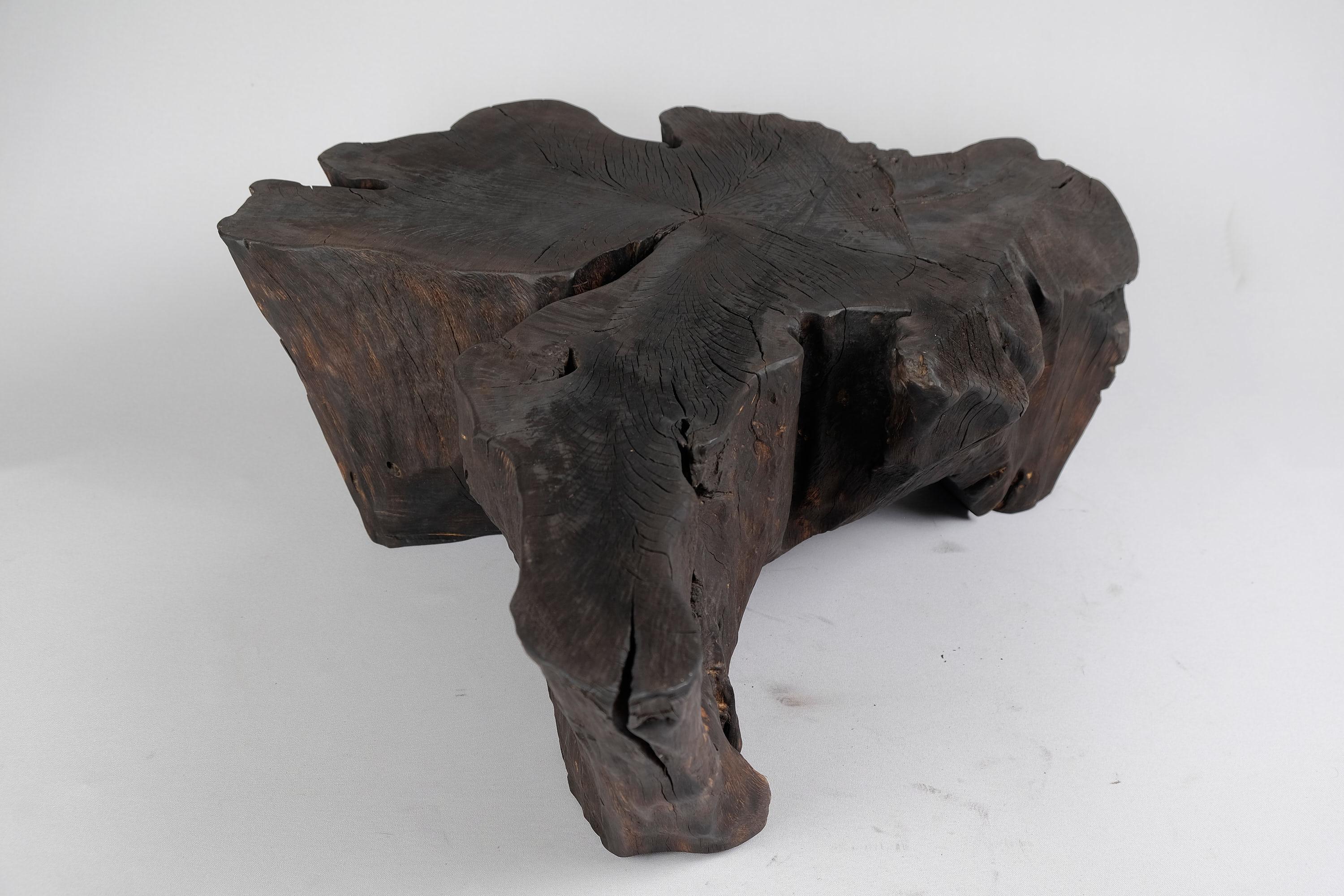 Solid Burnt Wood, Side Table, Stool, Wabi Sabi, Chainsaw Carved, Handmade For Sale 7