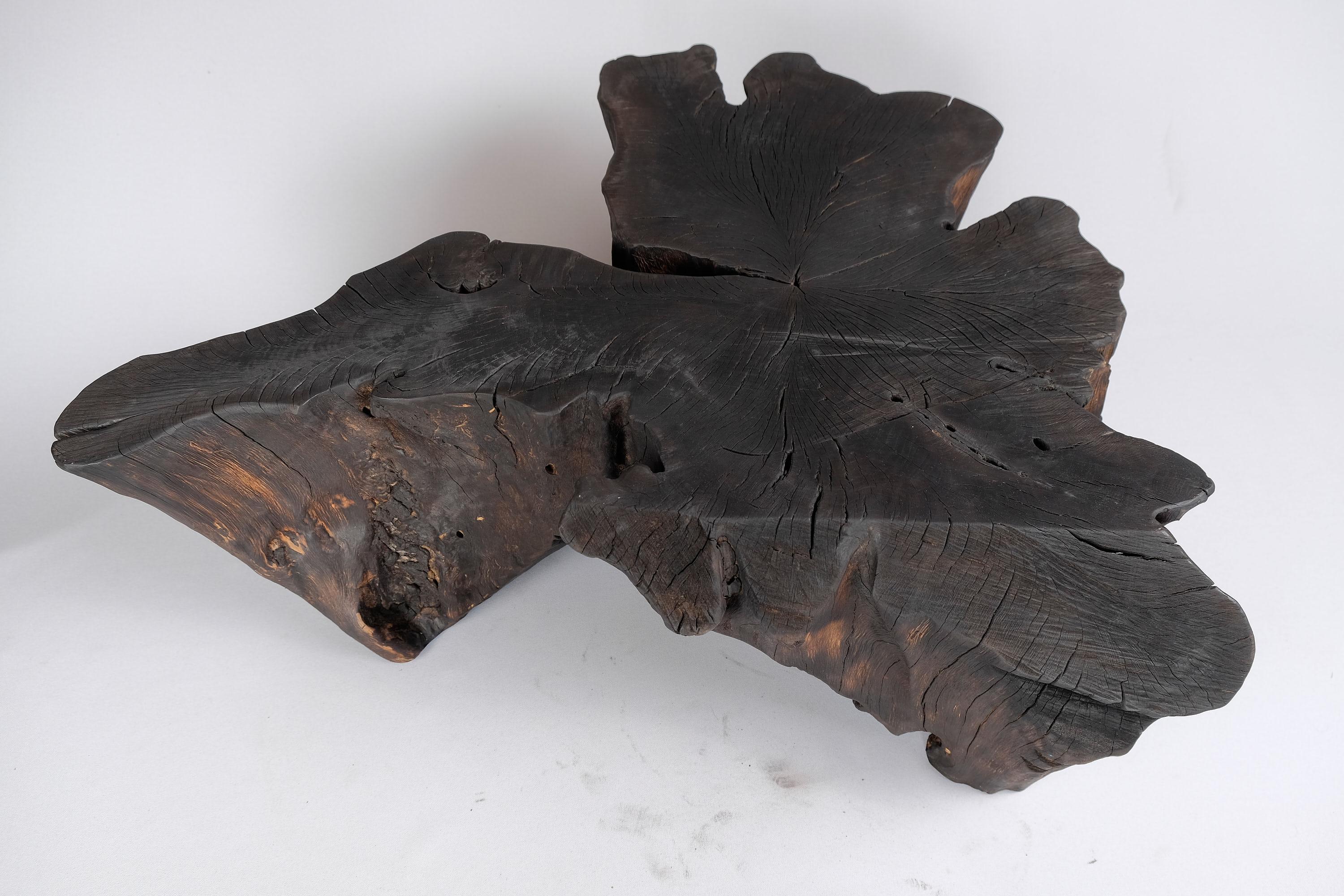 Solid Burnt Wood, Side Table, Stool, Wabi Sabi, Chainsaw Carved, Handmade For Sale 10