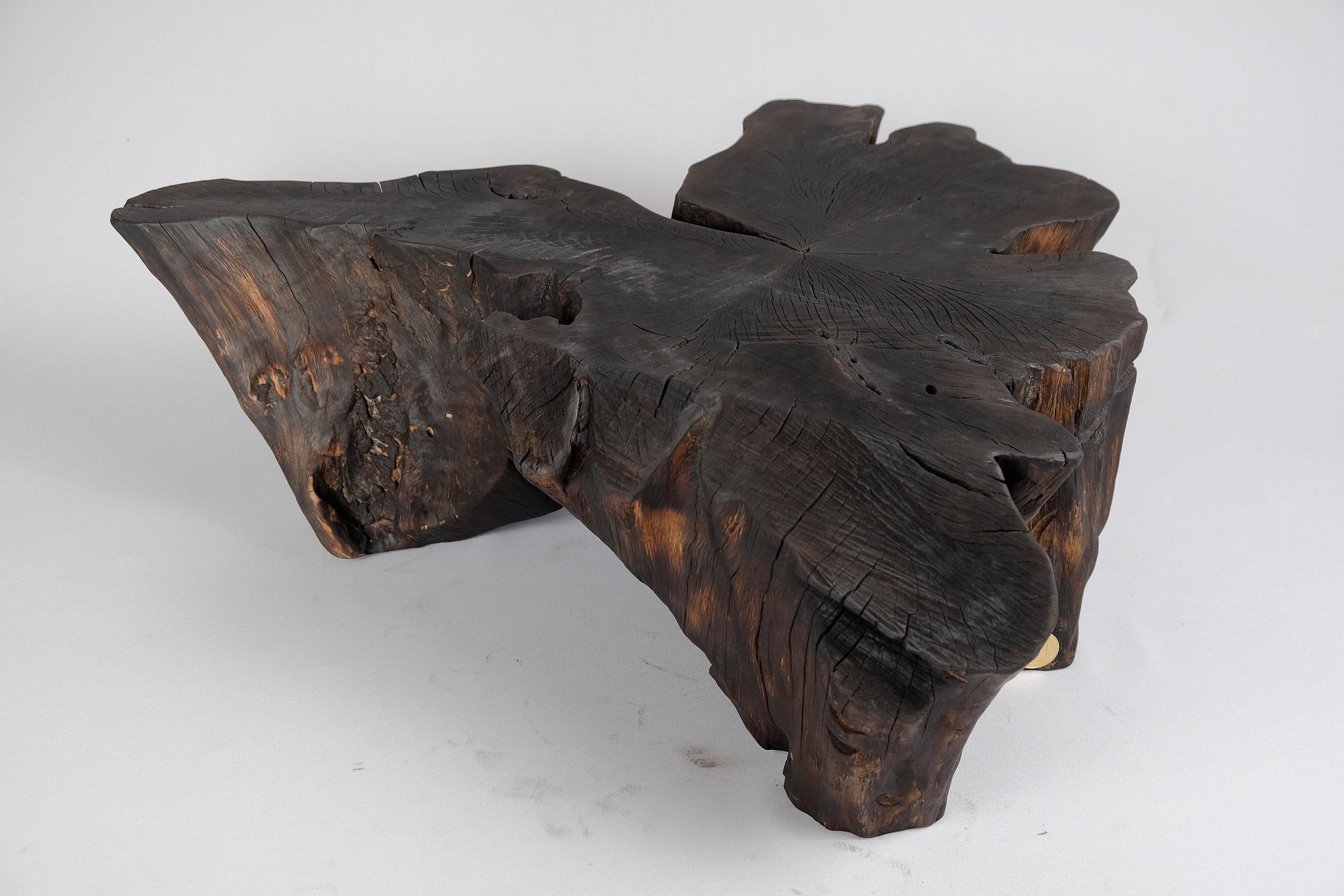 Table basse de forme organique sculptée à la tronçonneuse. Sculpté dans une seule pièce de bois brûlé et protégé par des huiles de la plus haute qualité, il est durable pour des générations. Un tel design unique fait à la main mettra en valeur votre