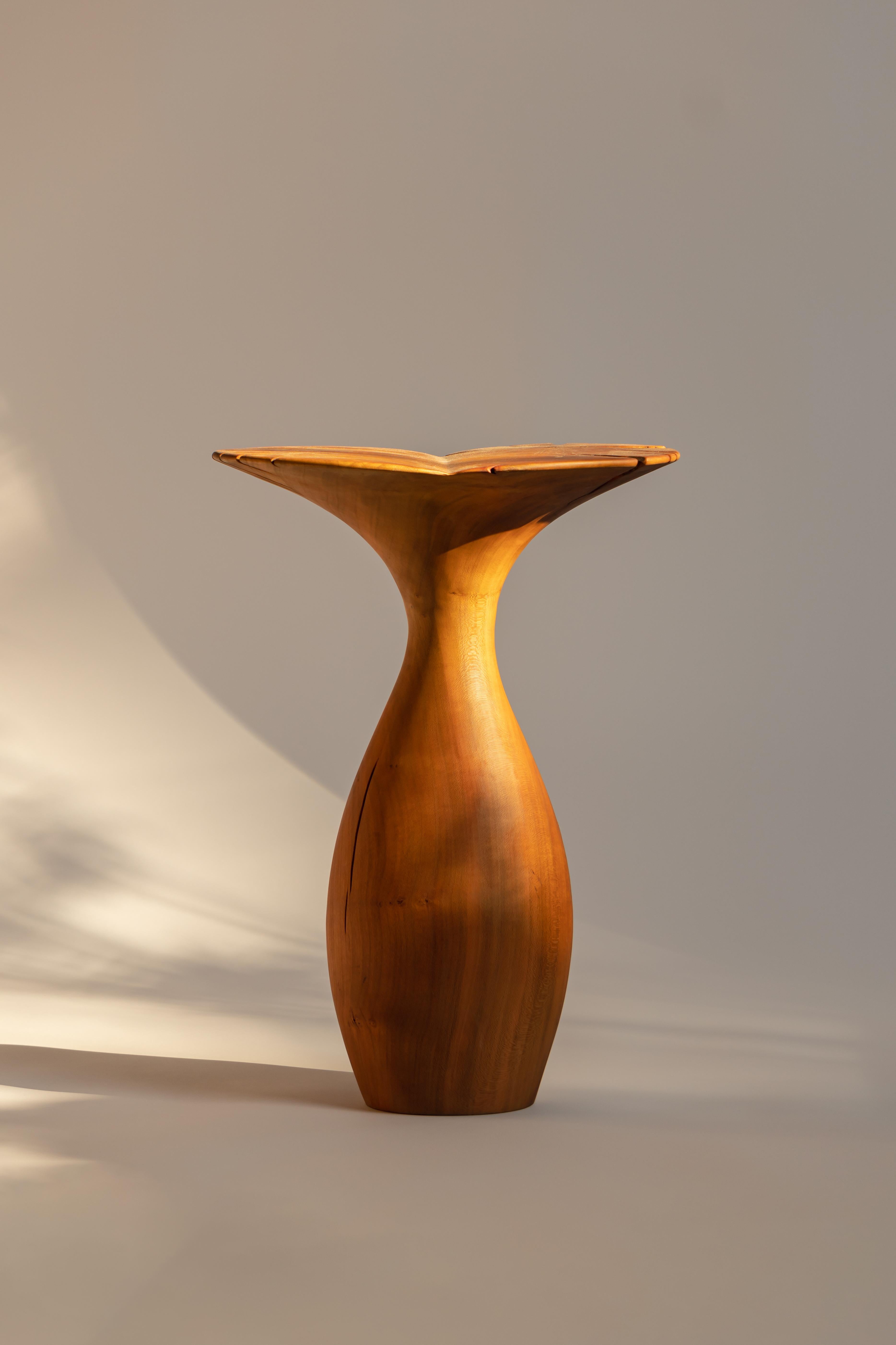 Mesa Auxiliar Colorae de Madera Maciza de Capulín por Sebastián Cappiello
Dimensiones:  An 36 x Pr 36 x Al 50 cm
Materiales: Bloque único, madera; volcánico, piedra; mármol. 
Acabados: Cedro blanco, cedro ennegrecido (yakisugi), encino (roble
