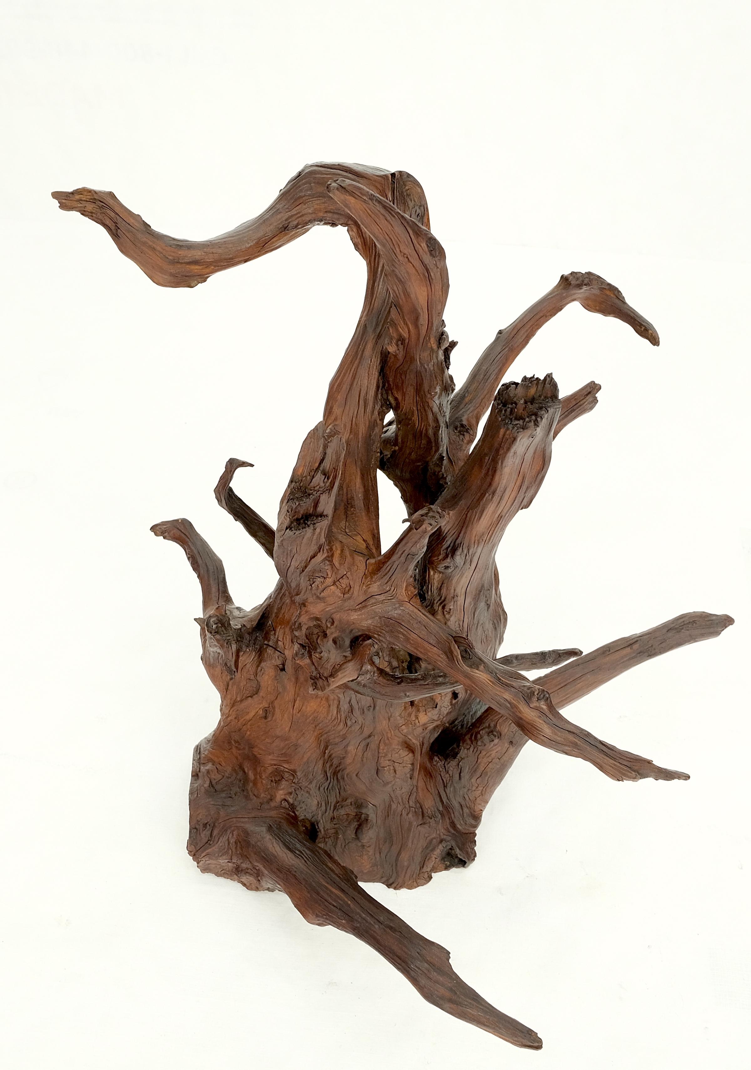 Solid Driftwood Root Sculpture Organic Jewerly Display Nice Patina & Shape Mint! For Sale 2