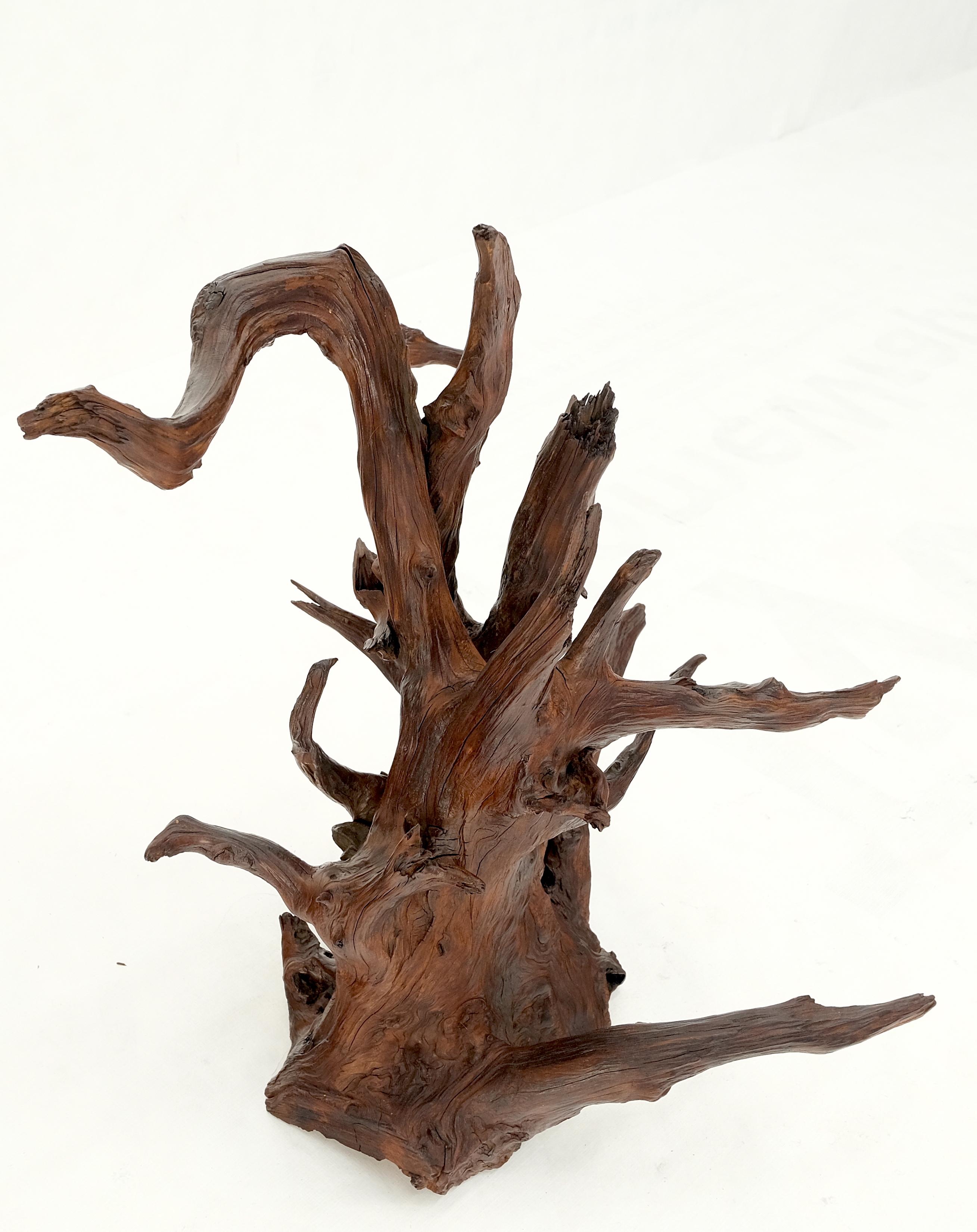 Solid Driftwood Root Sculpture Organic Jewerly Display Nice Patina & Shape Mint! For Sale 3