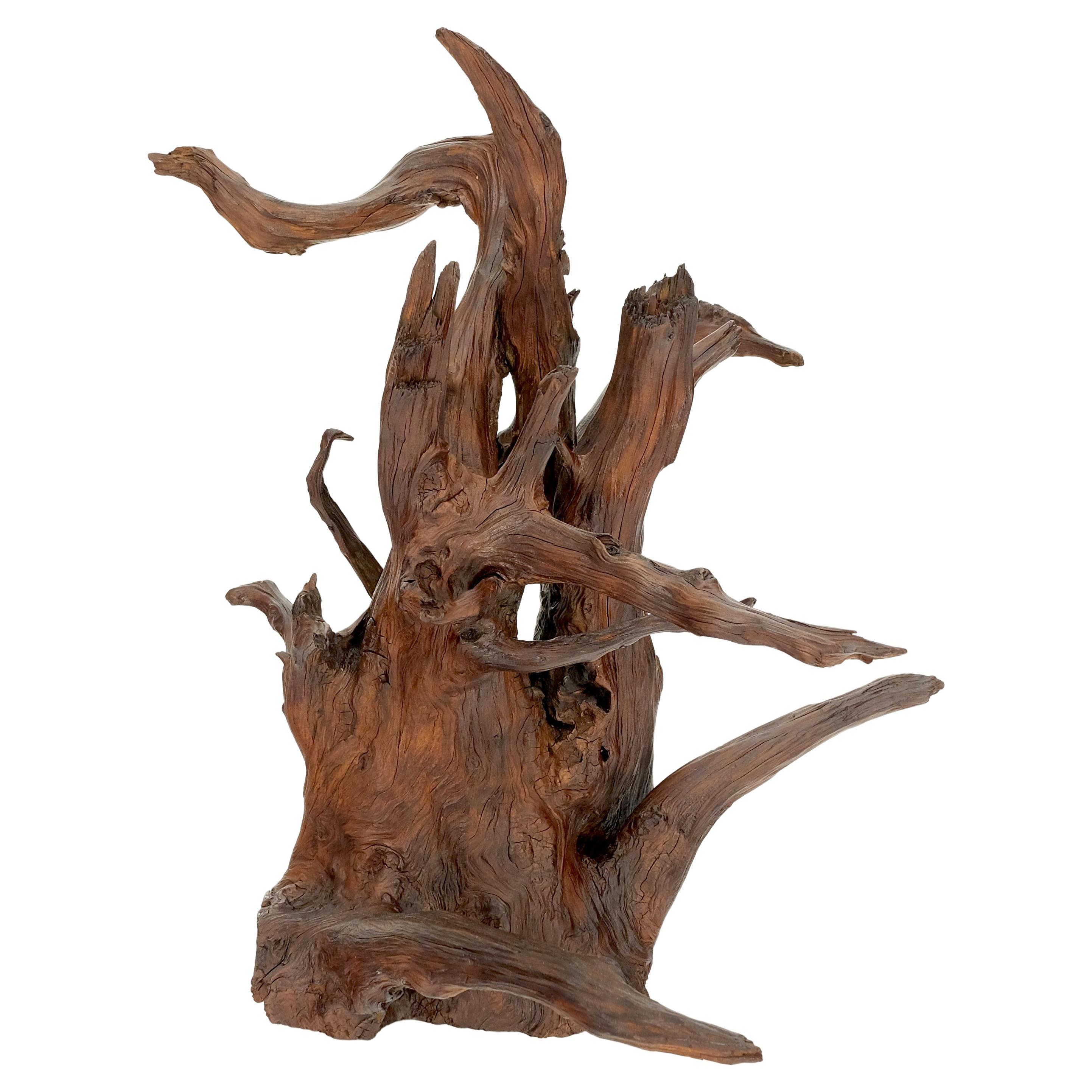 driftwood roots for sale