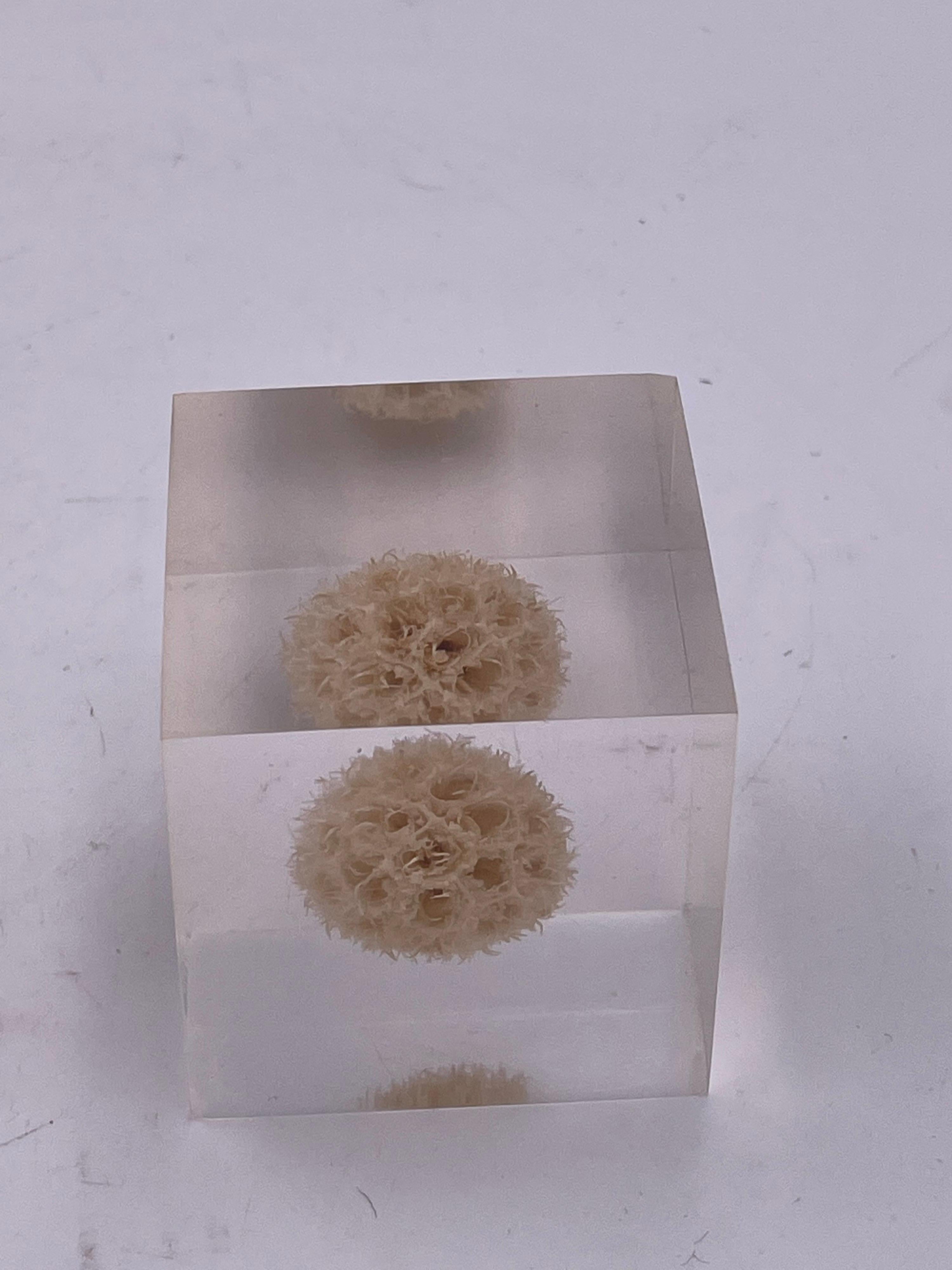 Post-Modern Solid Lucite Cube Flower Paperweight
