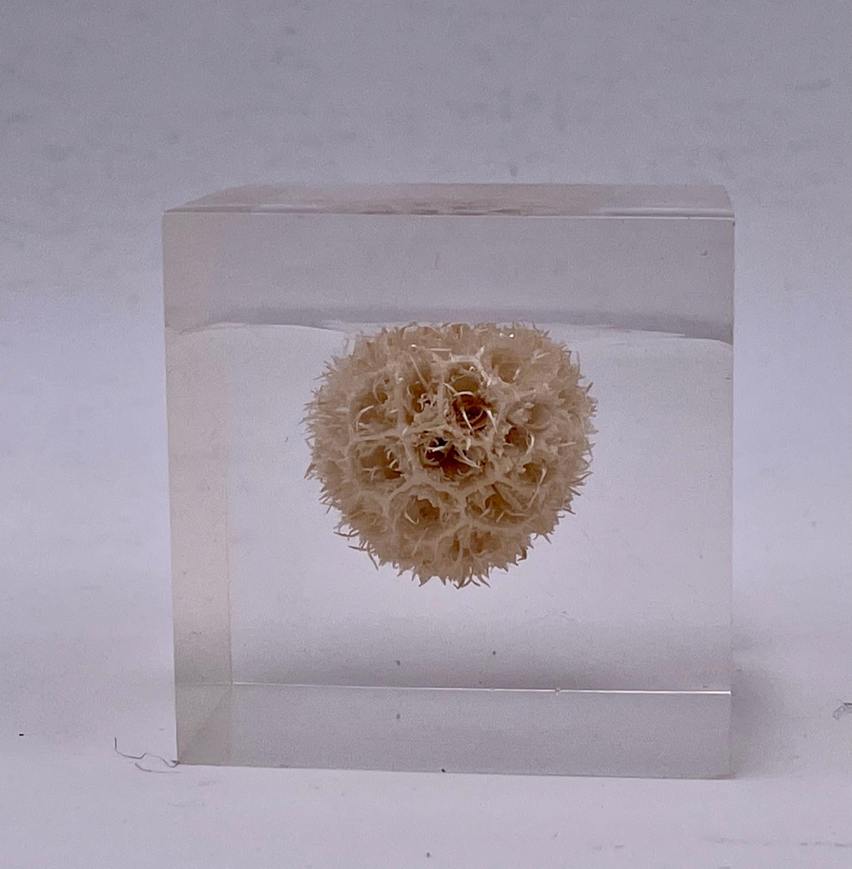 20th Century Solid Lucite Cube Flower Paperweight